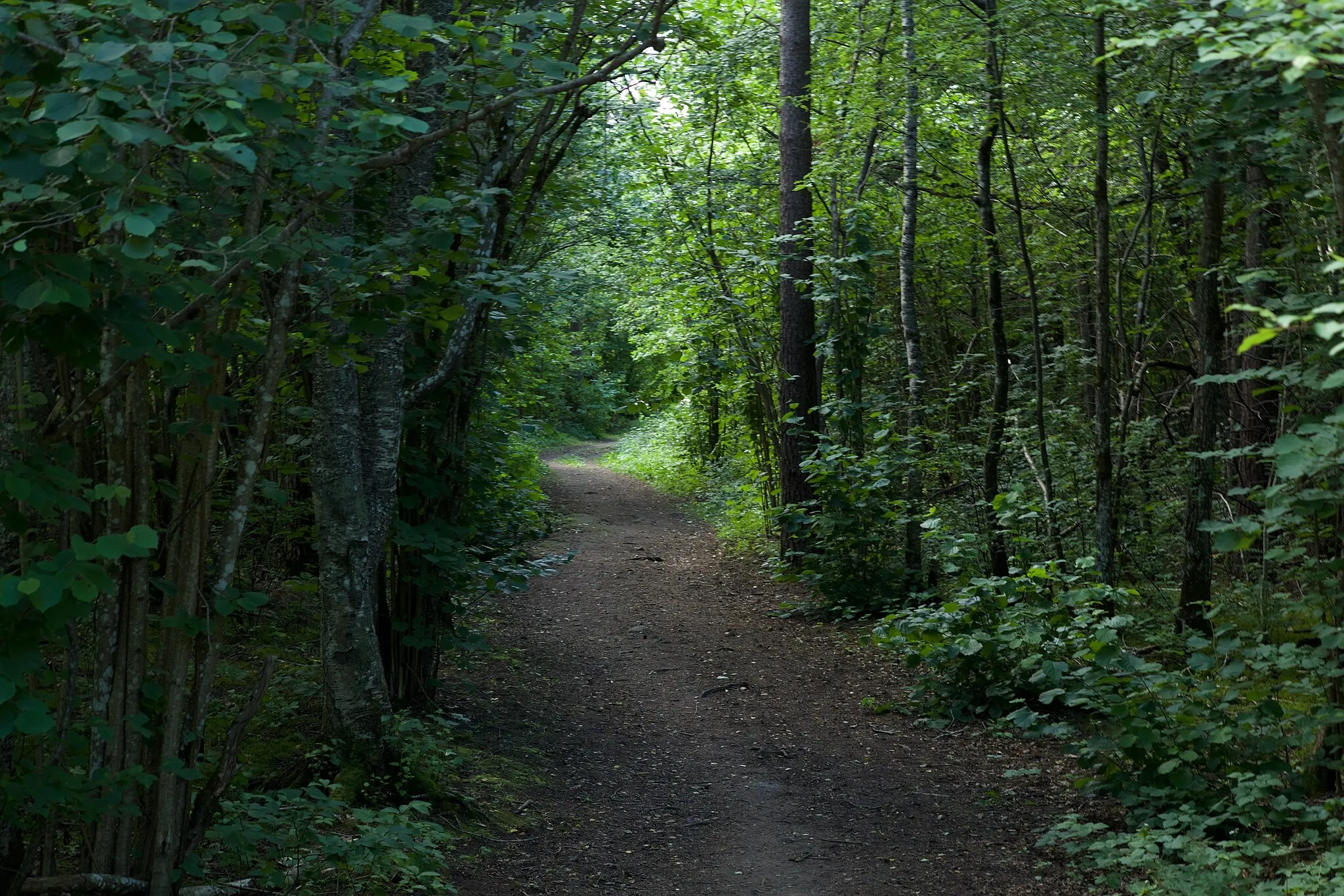 Photo showing: Saue, Harju County, Estonia