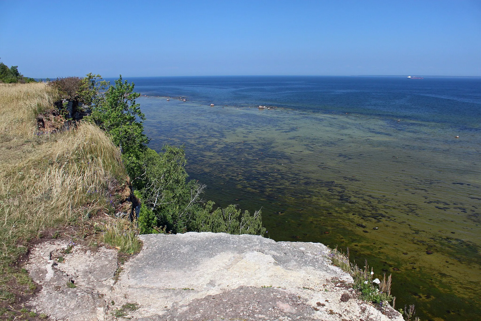 Photo showing: Обрыв Табасалу, Эстония