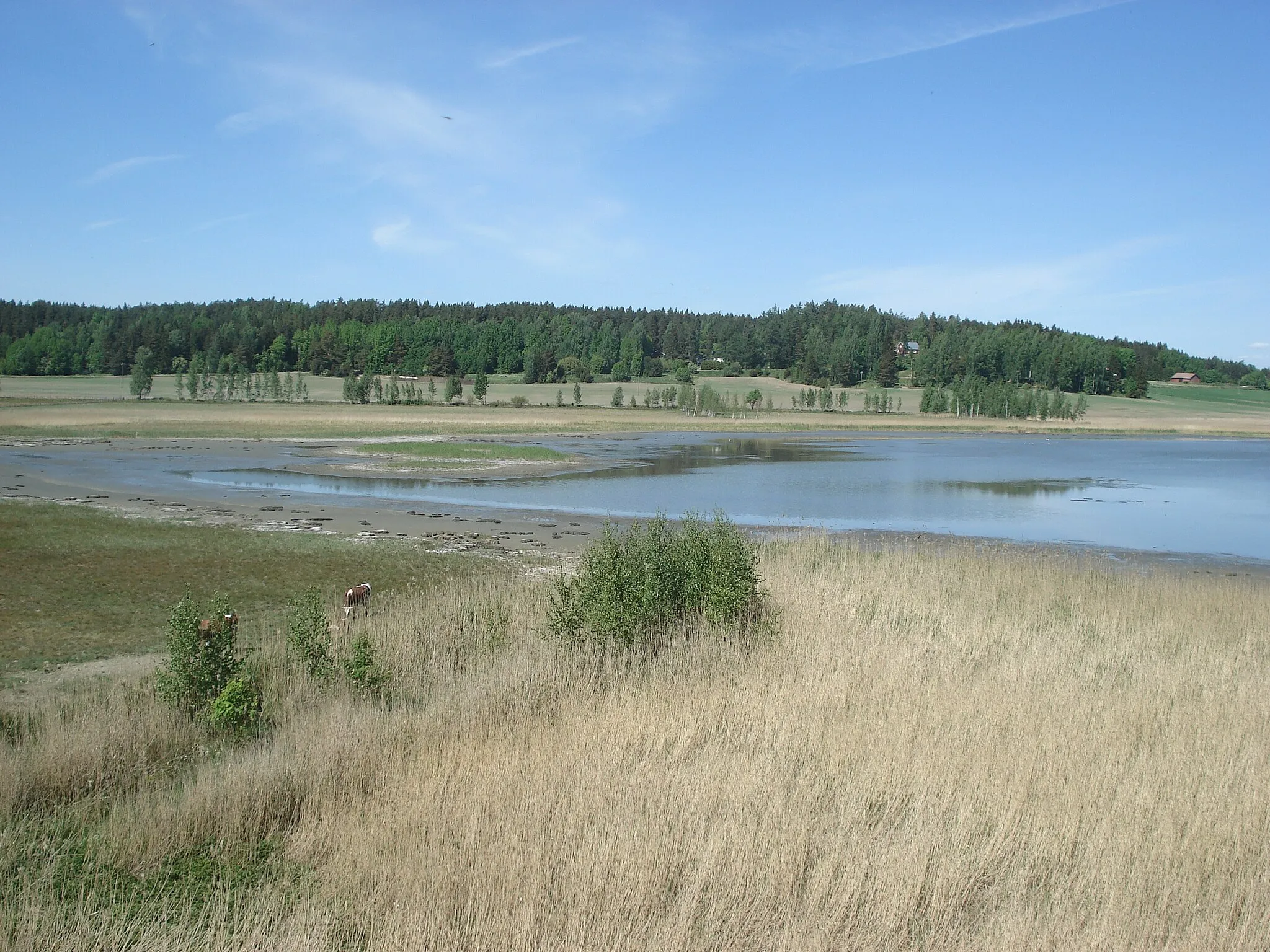 Kuva kohteesta Etelä-Suomi