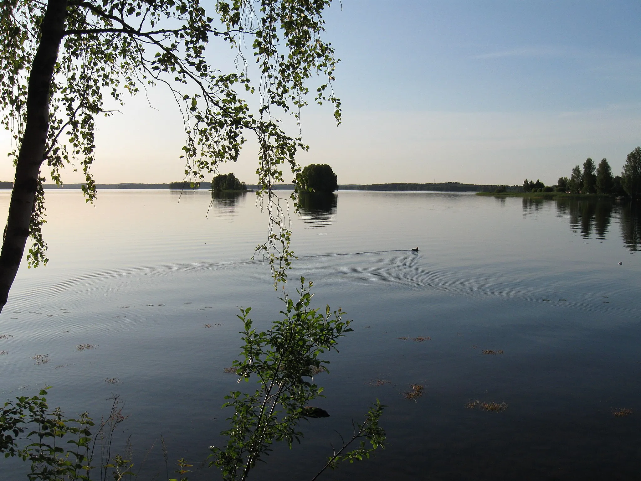 Photo showing: The Simpelejärvi lake in Parikkala, Finland, seen from Sikoharju towards Kangaskylä.
