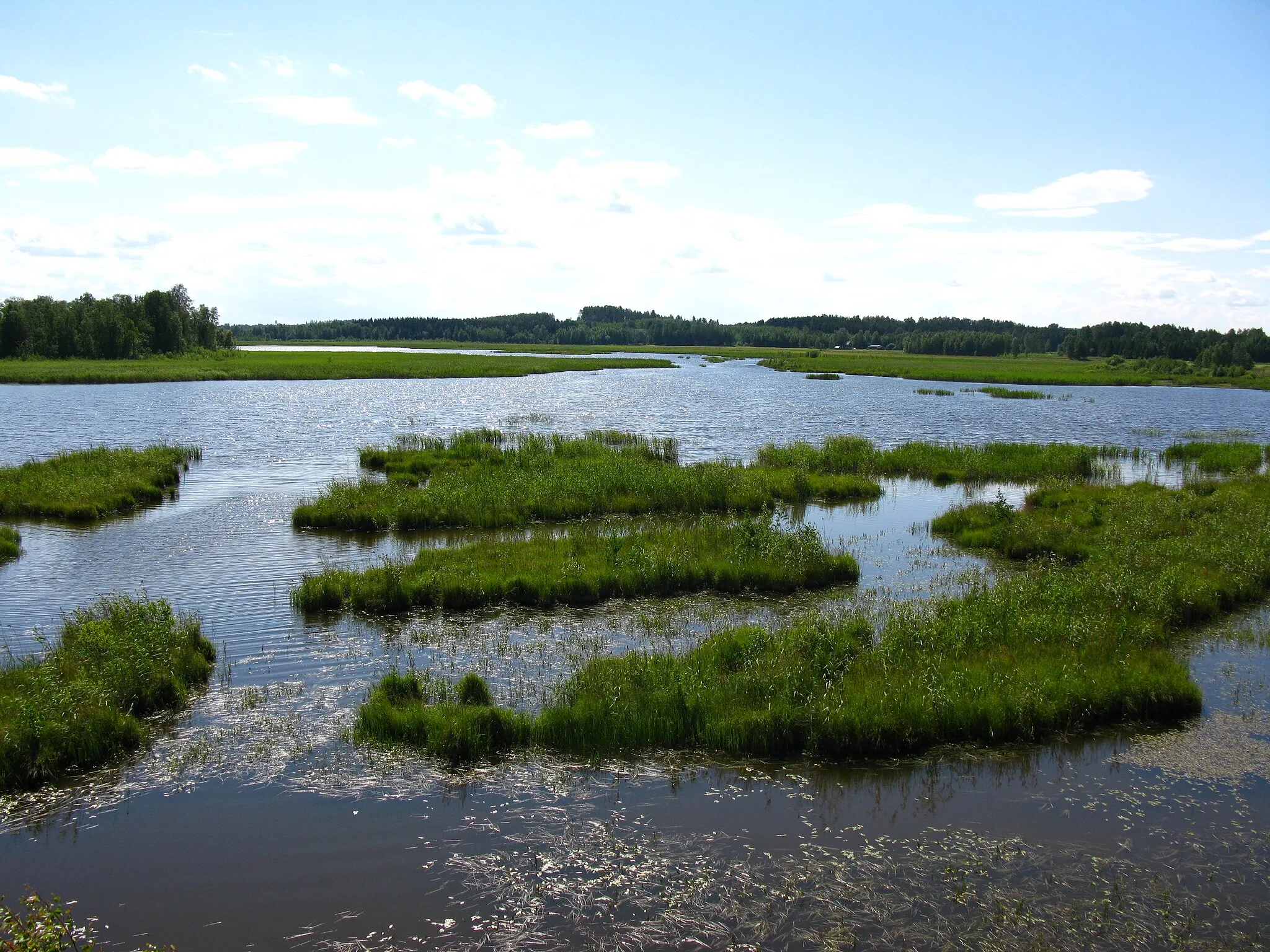 Photo showing: A sight to the bird lake Siikalahti (a gulf of the lake Simpelejärvi) in Parikkala, Finland.