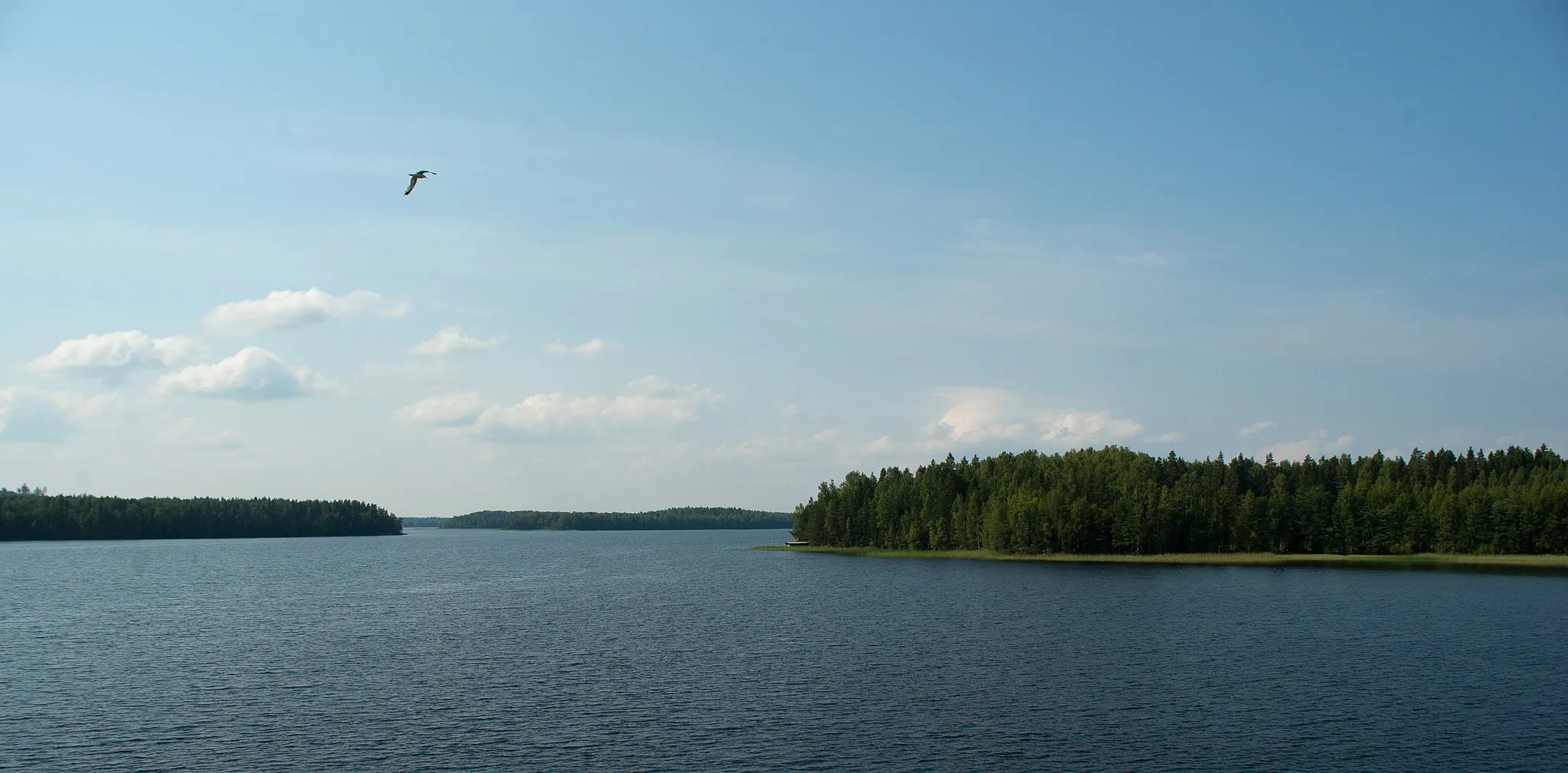 Photo showing: Suontee from the Marjotaipaleentie bridge, Joutsa Finland.