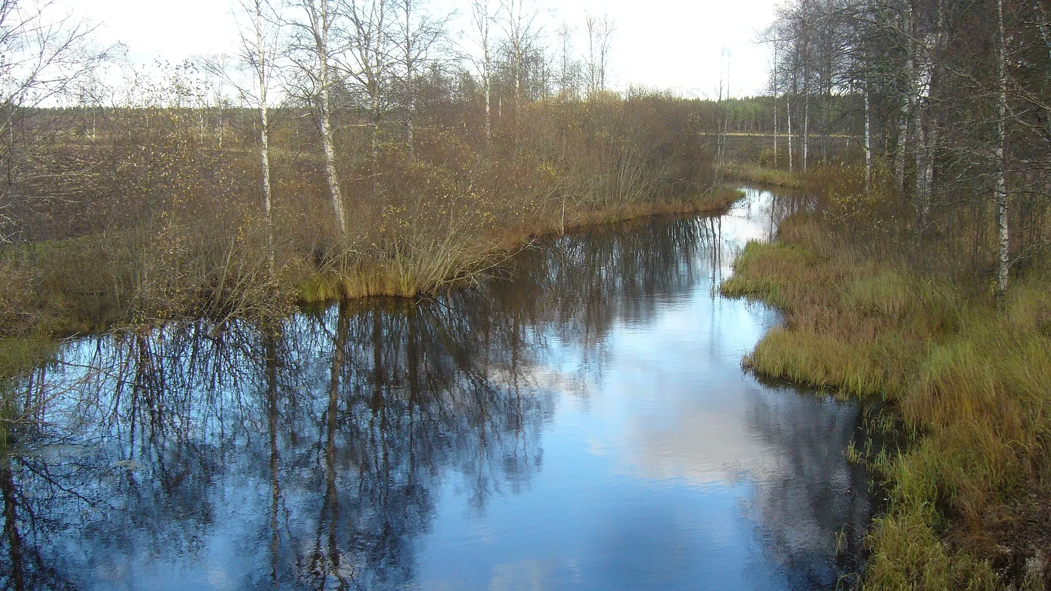 Photo showing: Kattilajoki river in Karvia, Finland.