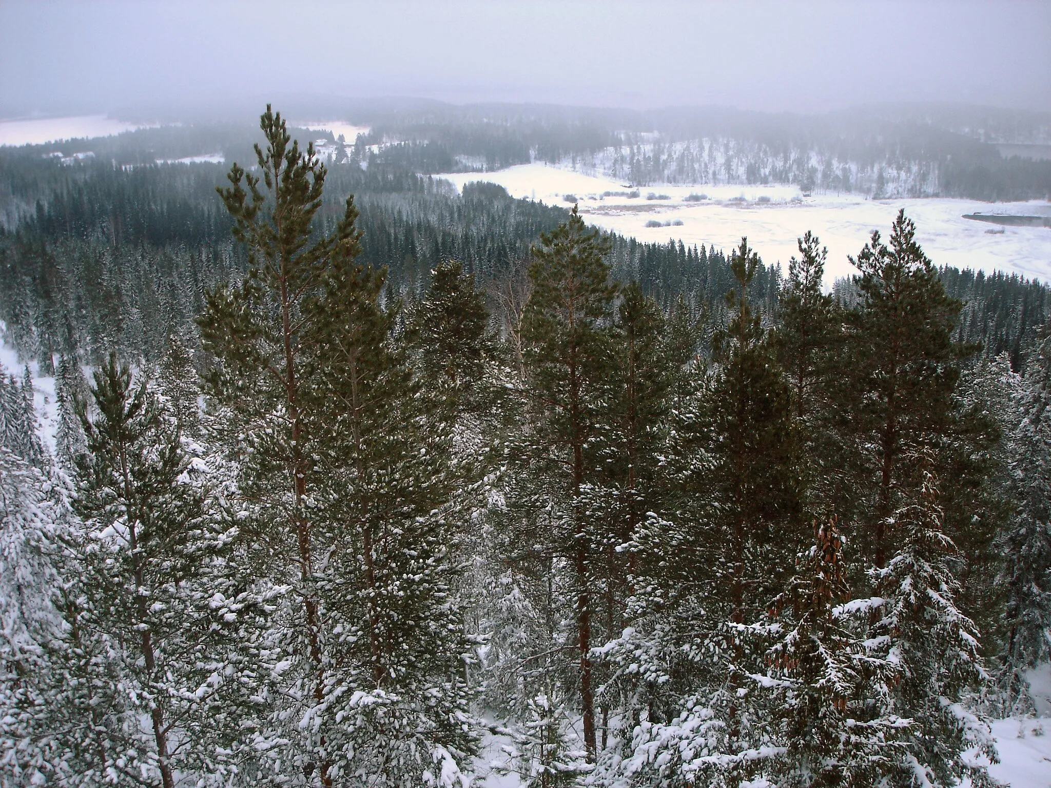 Photo showing: Landscape of Korpilahti, Finland, seen from observation tower on top of mount Oravivuori