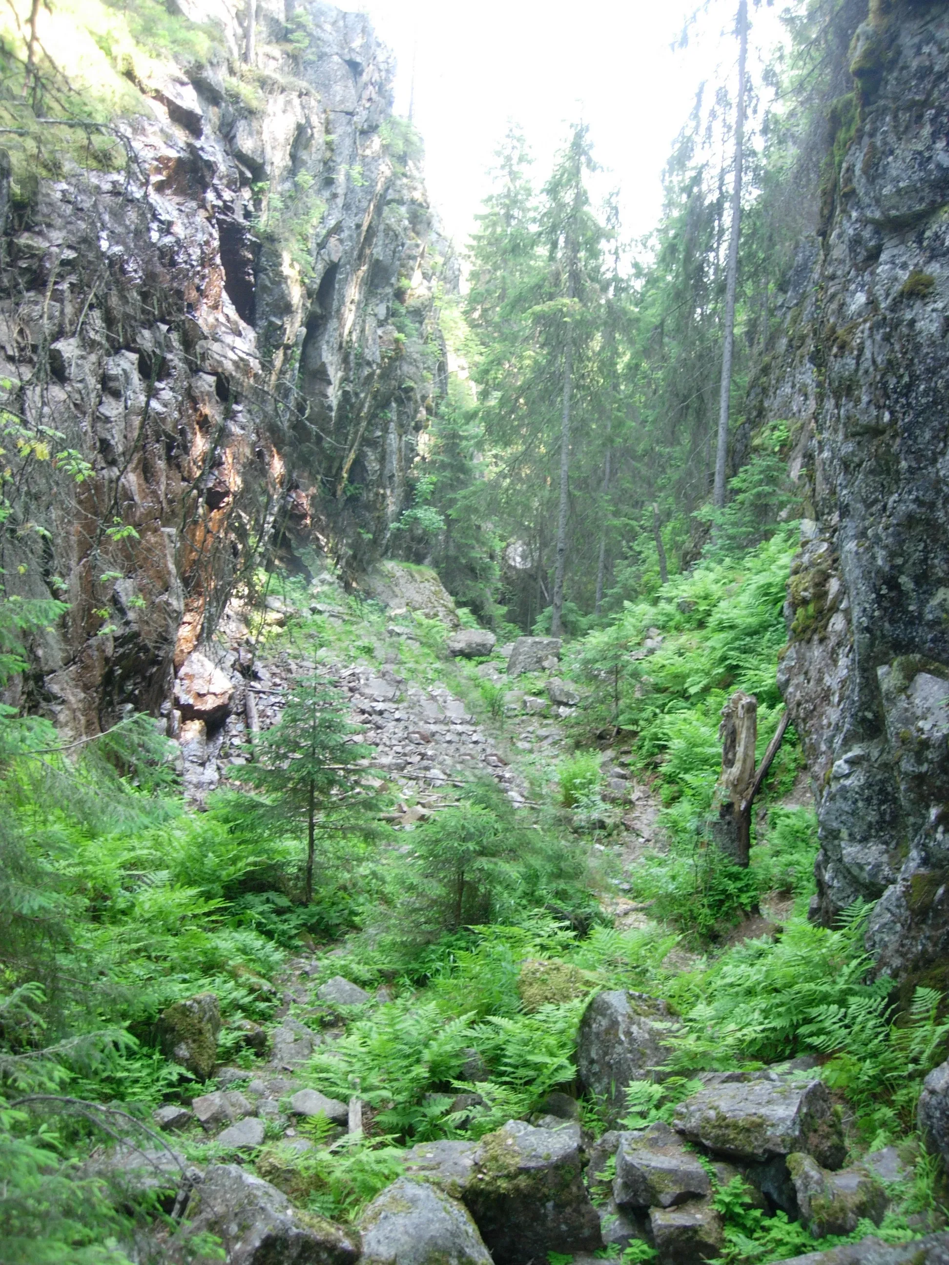 Kuva kohteesta Länsi-Suomi