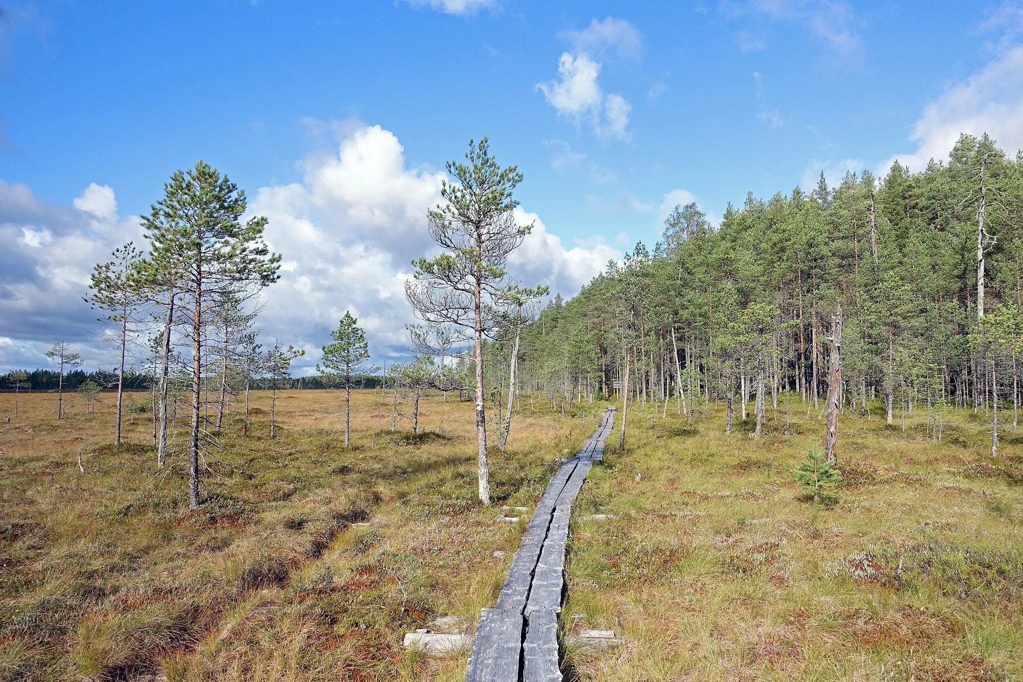 Photo showing: Pyhä-Häkki National Park, Saarijärvi, Finland.