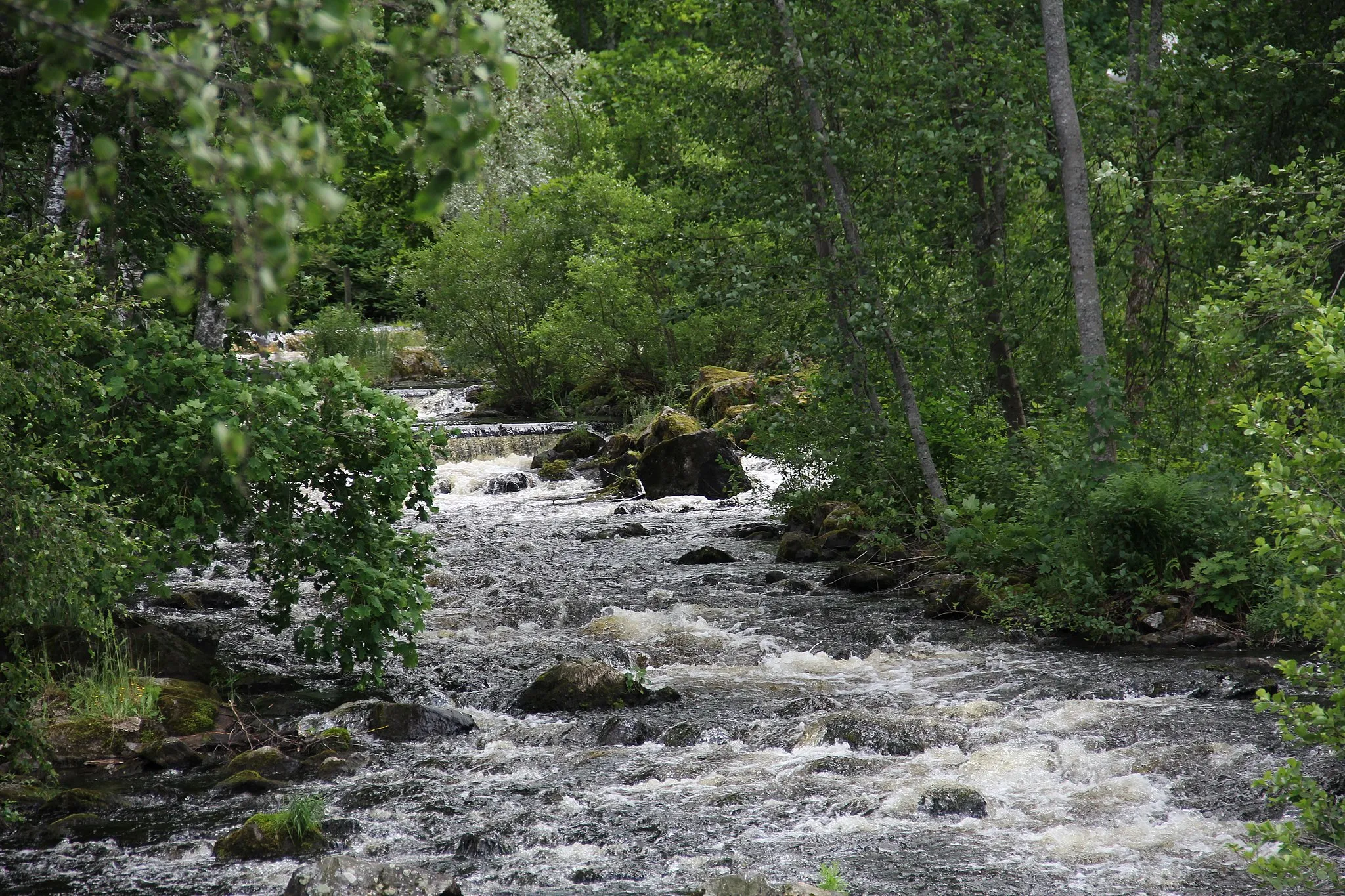 Photo showing: Enonkoski rapids, Enonkoski, Finland.