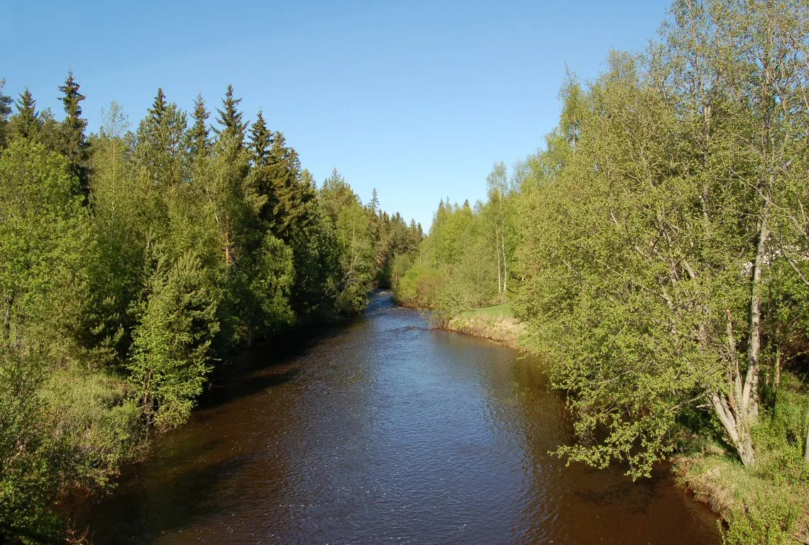 Photo showing: Kalimeenoja creek with riparian forest, in Kalimeenkylä, Haukipudas, Finland.