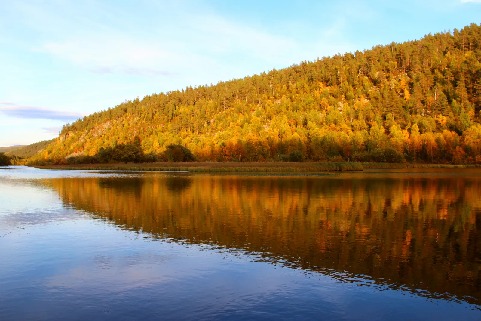 Photo showing: Autumn colours at River Lemmenjoki at Lemmenjoki National Park in Finland