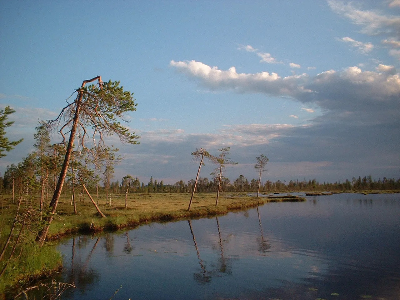 Image of Pohjois- ja Itä-Suomi