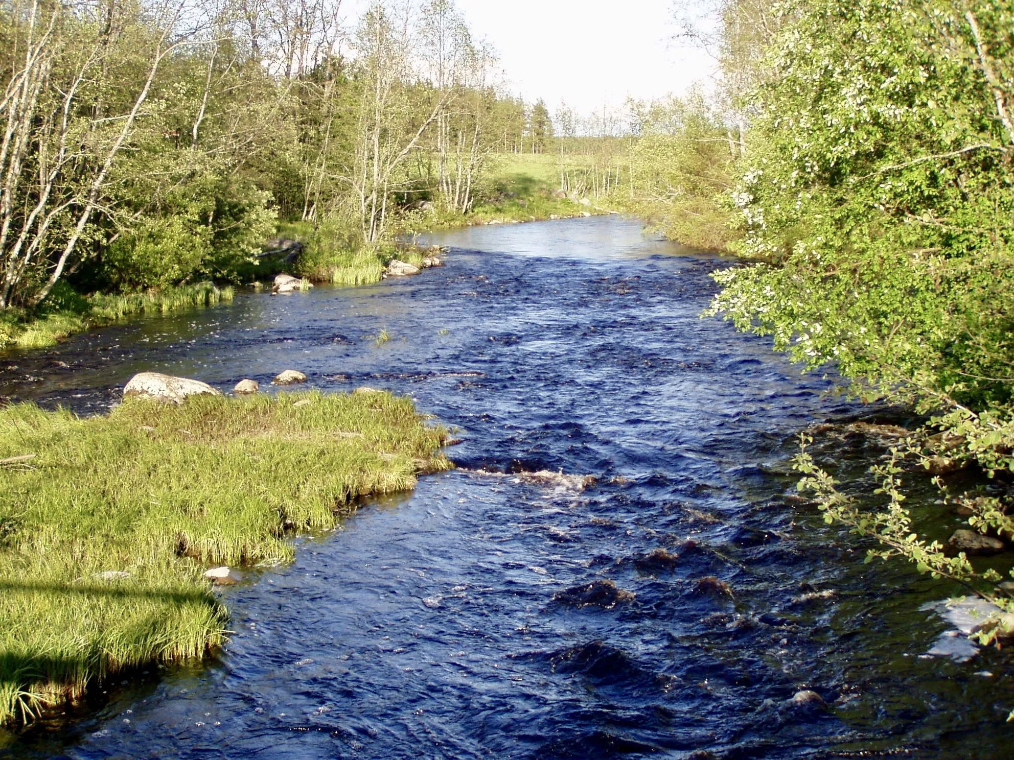 Photo showing: Fast flowing, full of fish, but cold river in the Ostrobothnia region of Finland, south of Oulu.