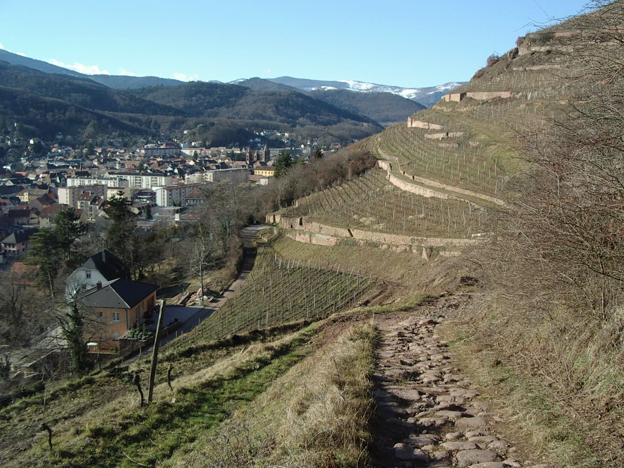 Photo showing: Vue sur Guebwiller (Alsace, France) depuis le vignoble.