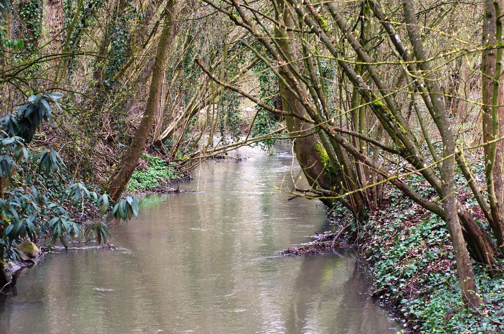 Kuva kohteesta Alsace