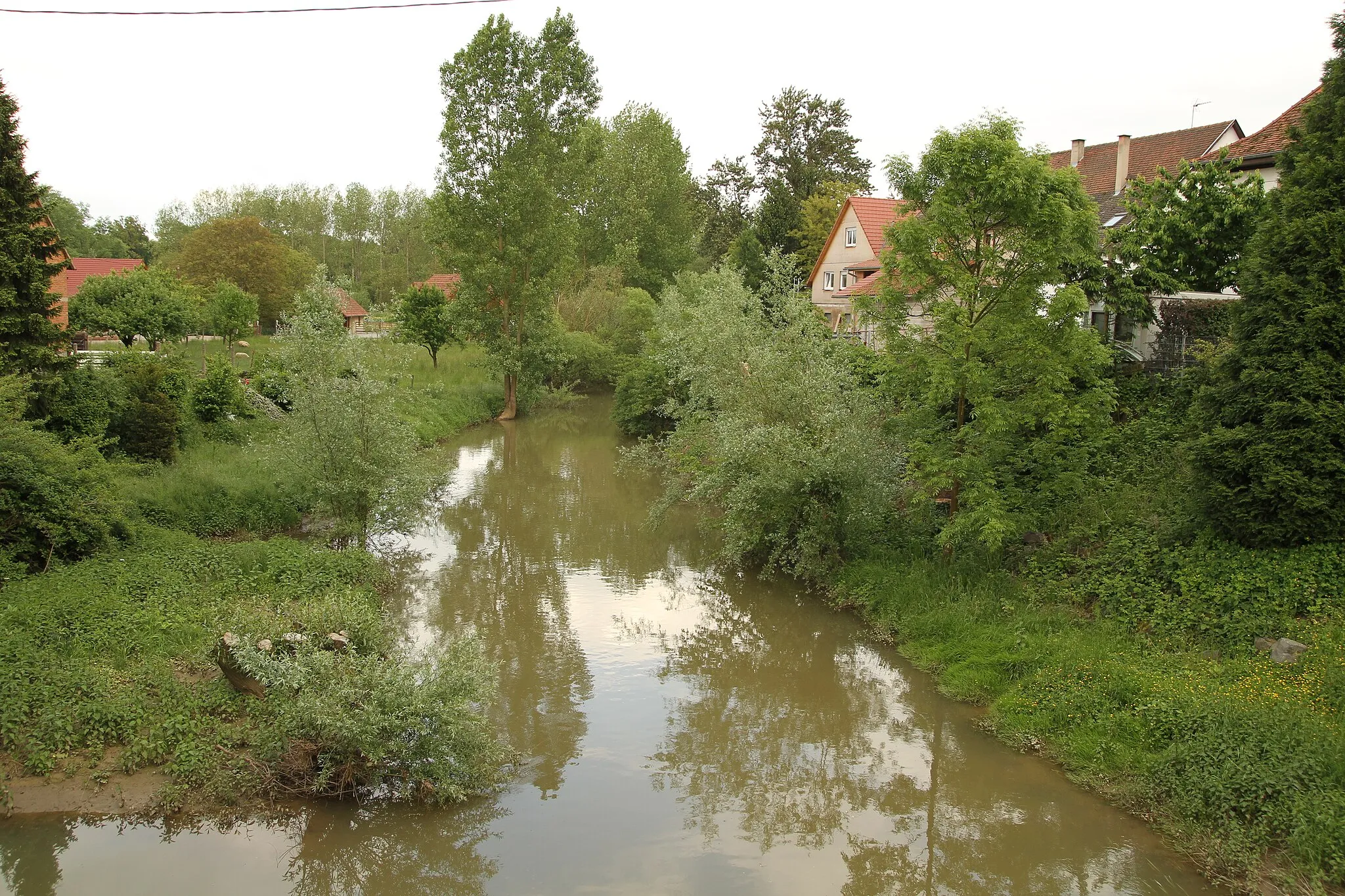 Photo showing: Der Seltzbach bei Seltz. Der Seltzbach ist ein gut 33 km langer linker Zufluss der Sauer im Elsass.