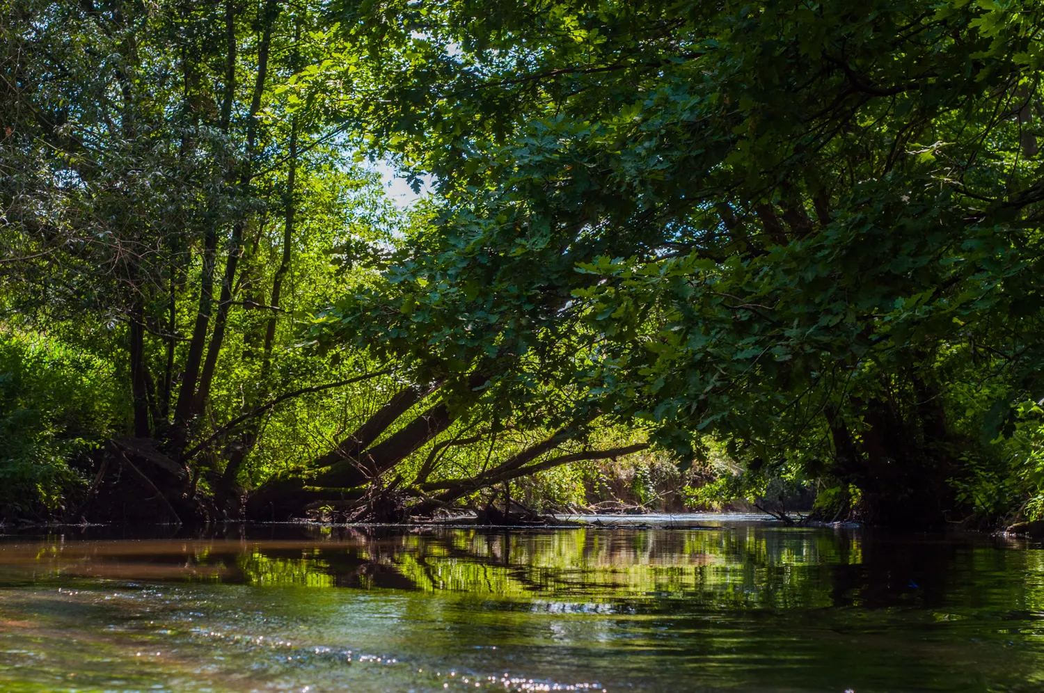 Photo showing: Rivière de la Zorn, photo prise sur le sentier André Weckmann