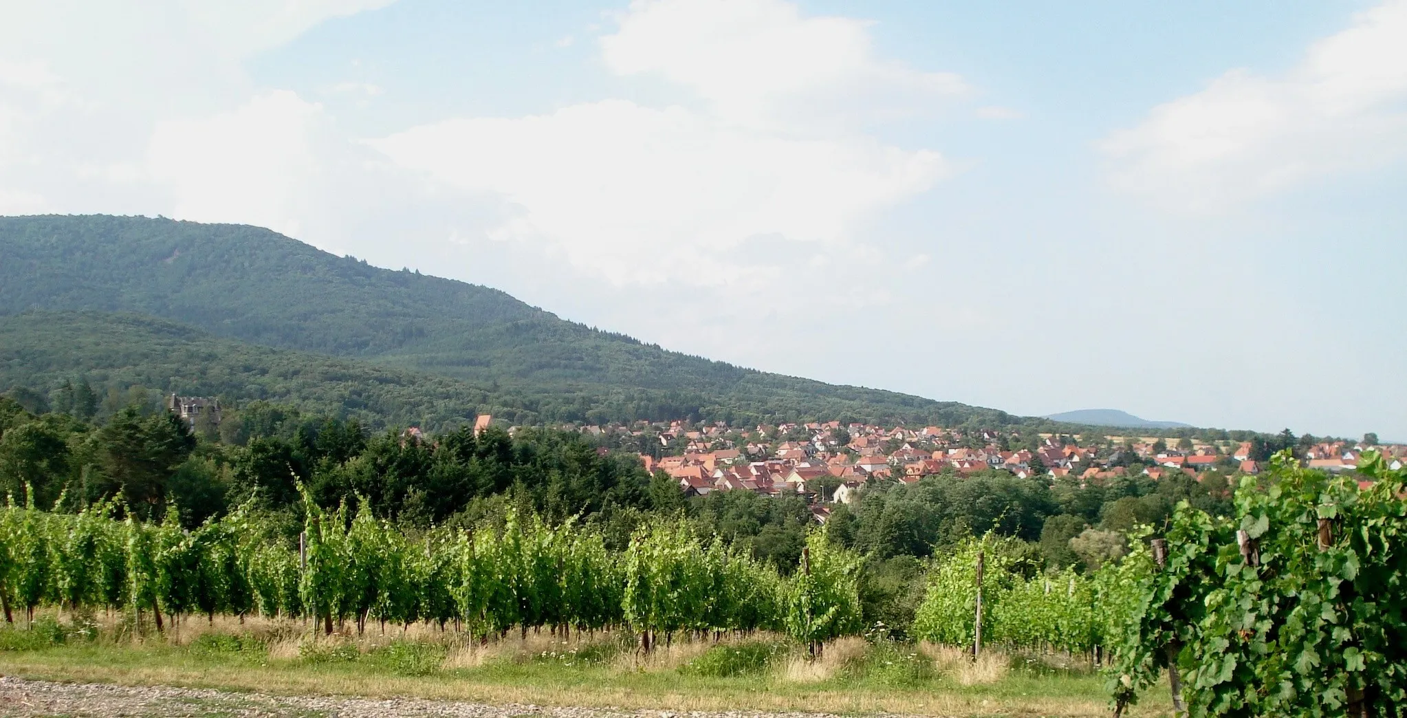 Photo showing: Vue de Wattwiller depuis le Nodelberg