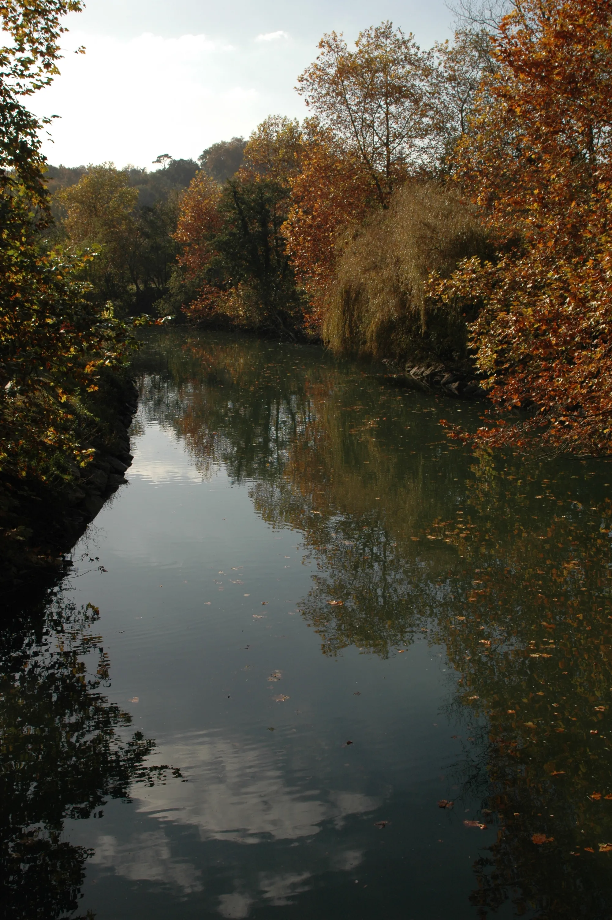 Billede af Aquitaine