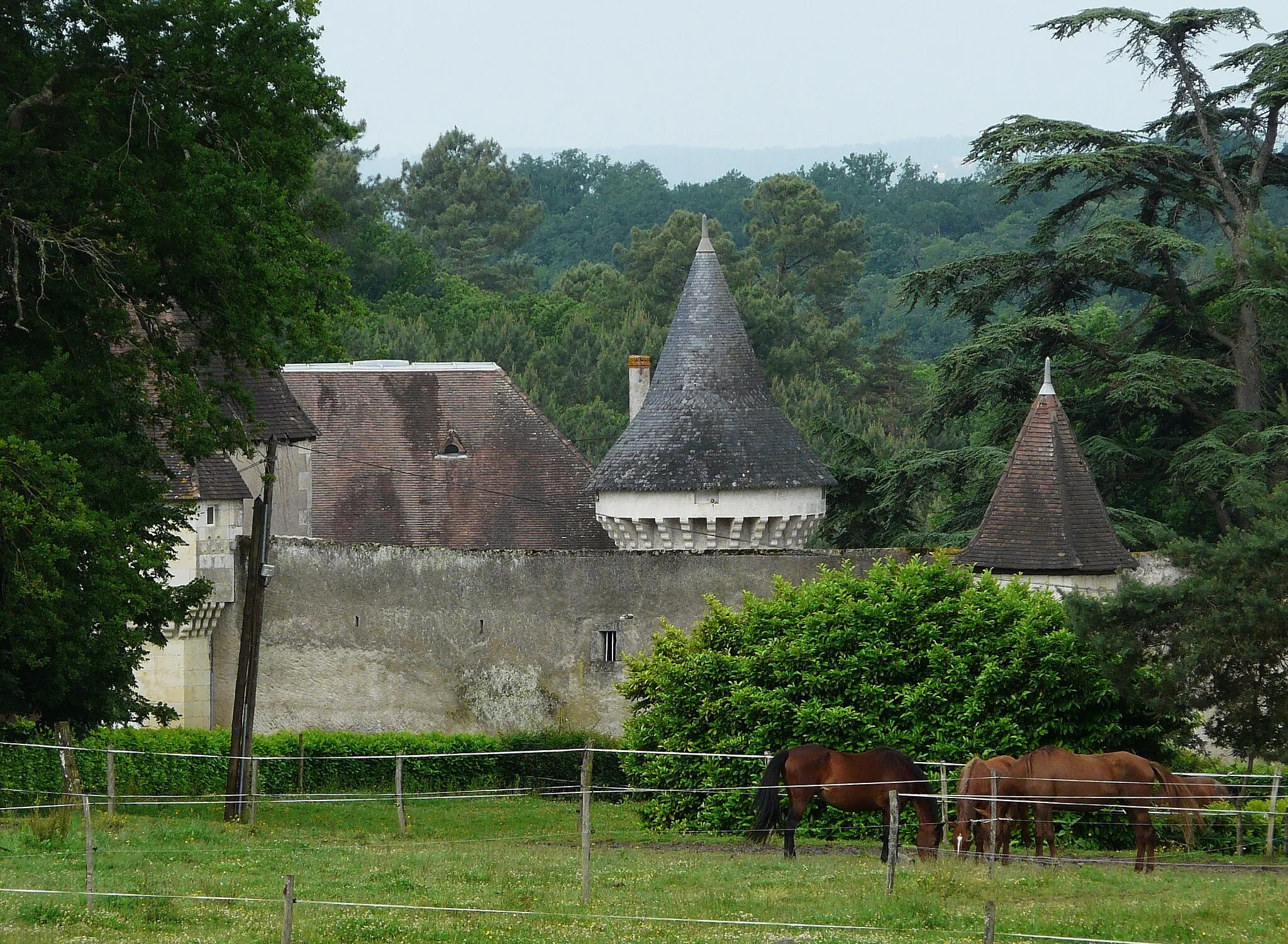 Photo showing: Château de Borie-Petit à Champcevinel