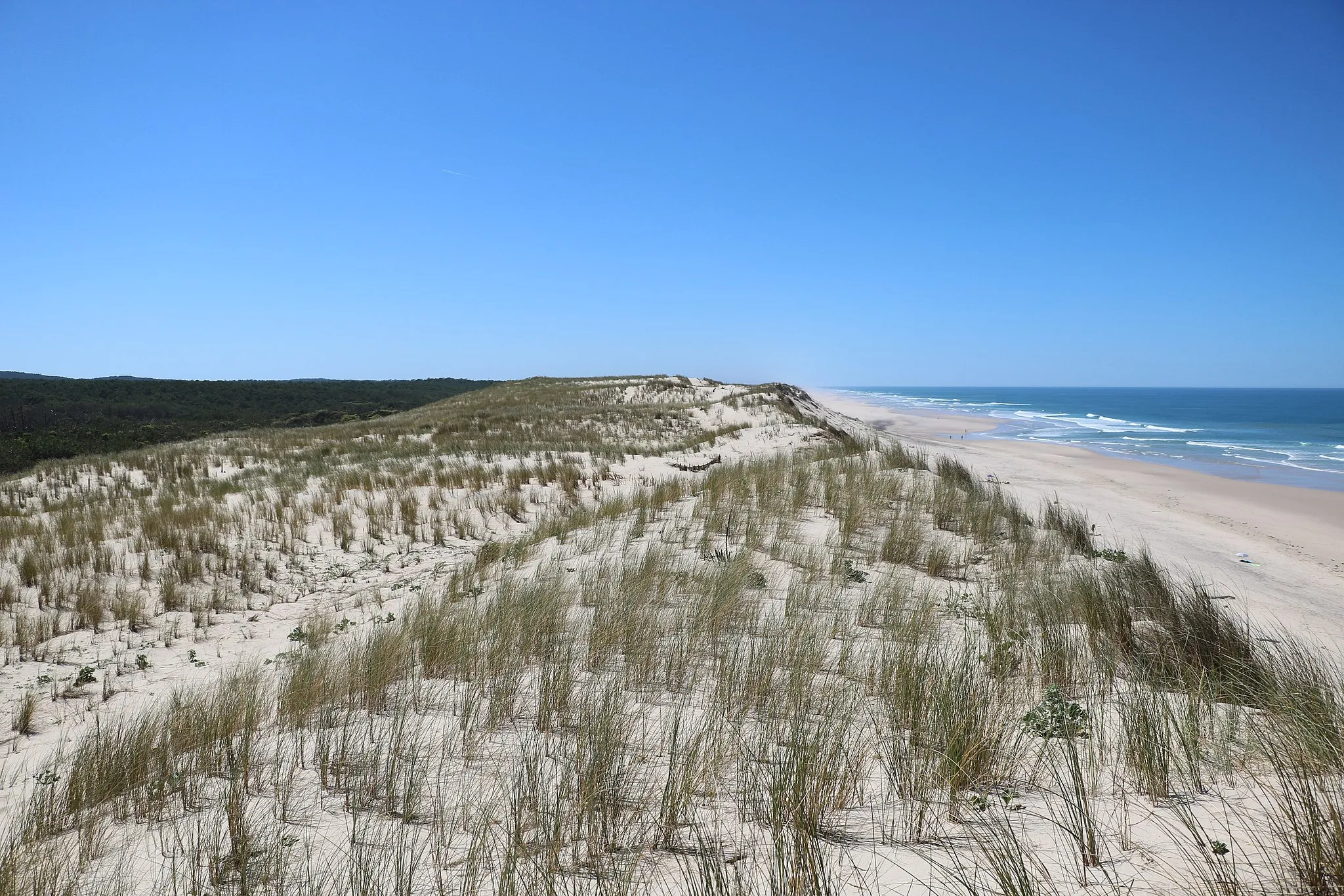 Photo showing: La réserve naturelle des dunes d'Hourtin (Gironde, France) englobe la plage, la forêt domaniale et la forêt communale d'Hourtin et s'étend de la mer aux lacs arrière-dunaires.