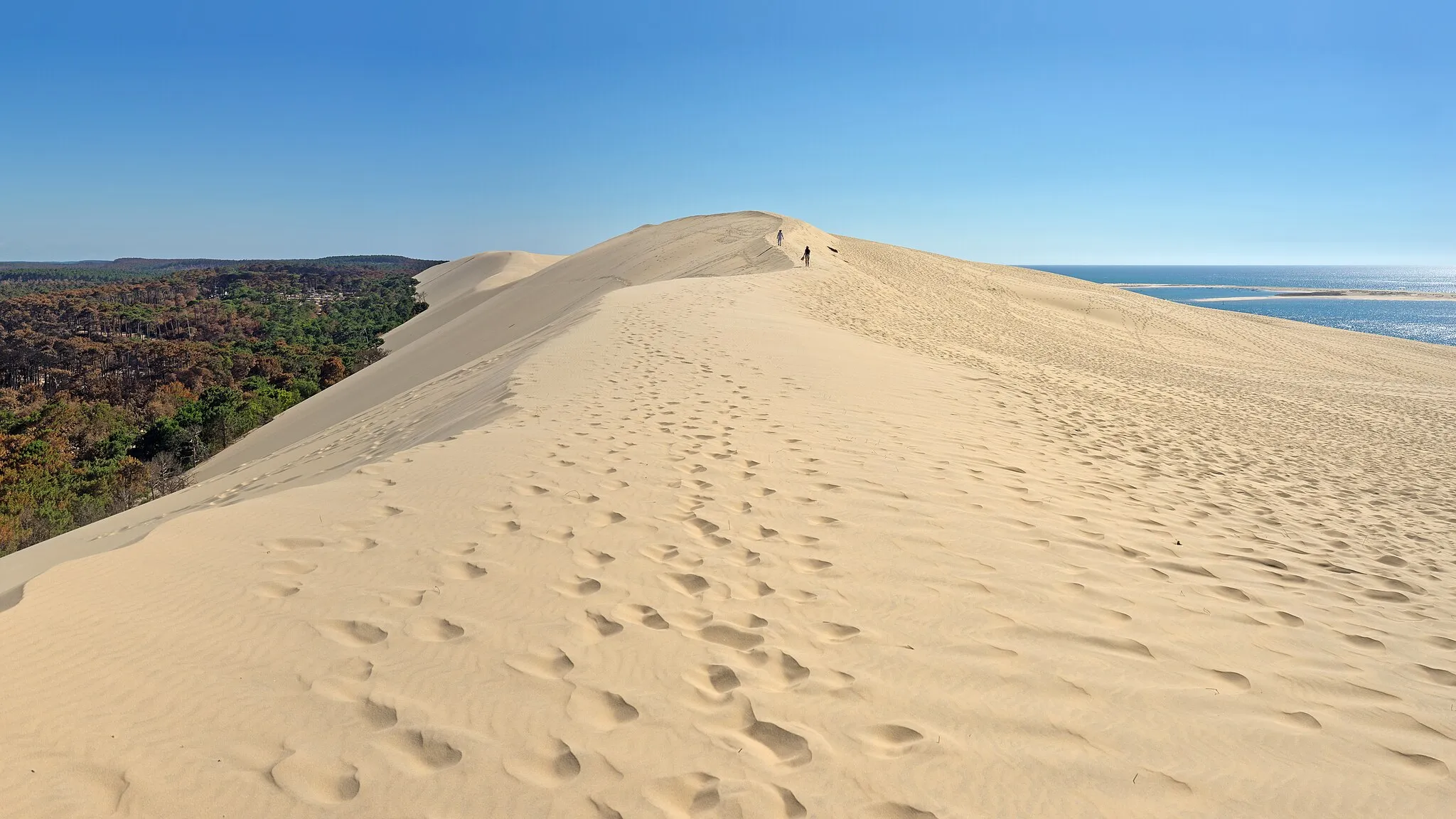 Photo showing: On the Dune of Pilat, Arcachon Bay area, France