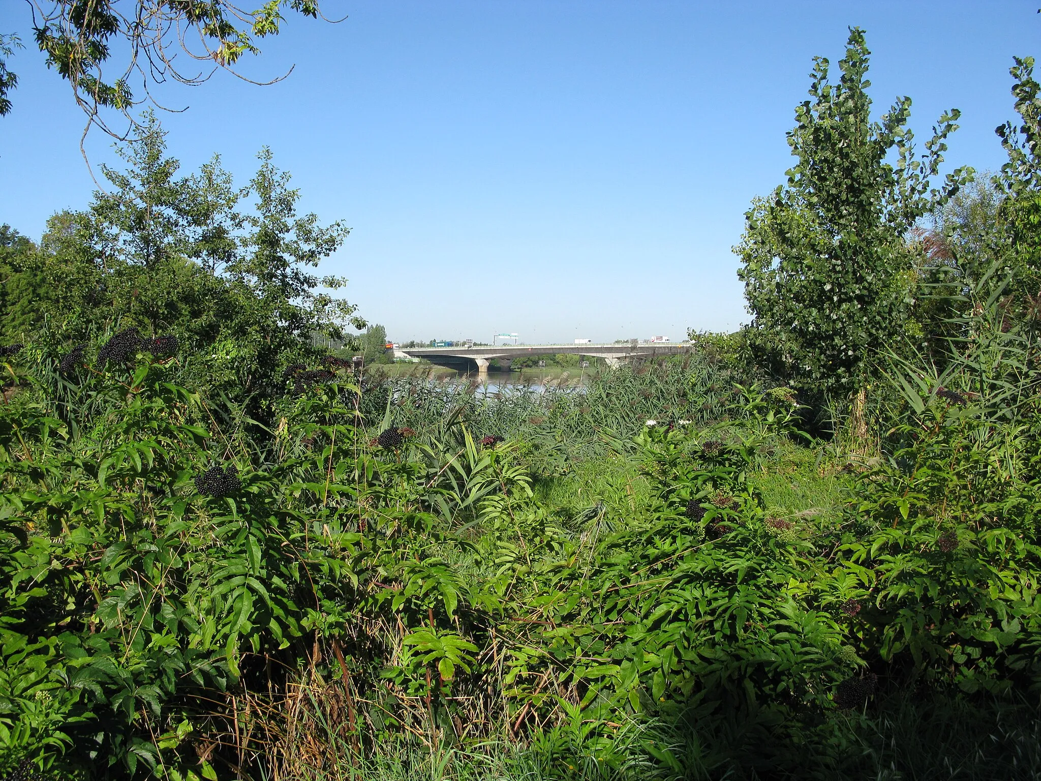 Photo showing: Les bords de la Garonne à Latresne, en arrière plan le pont François Mitterrand