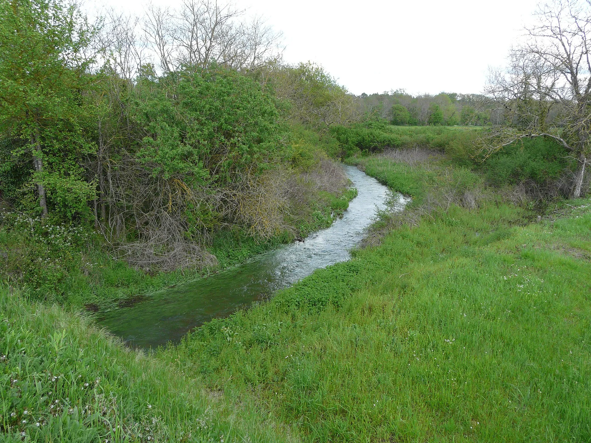 Photo showing: Le Cerf après une période prolongée de fortes pluies, en amont du pont de la route départementale 6089, Razac-sur-l'Isle, Dordogne, France.