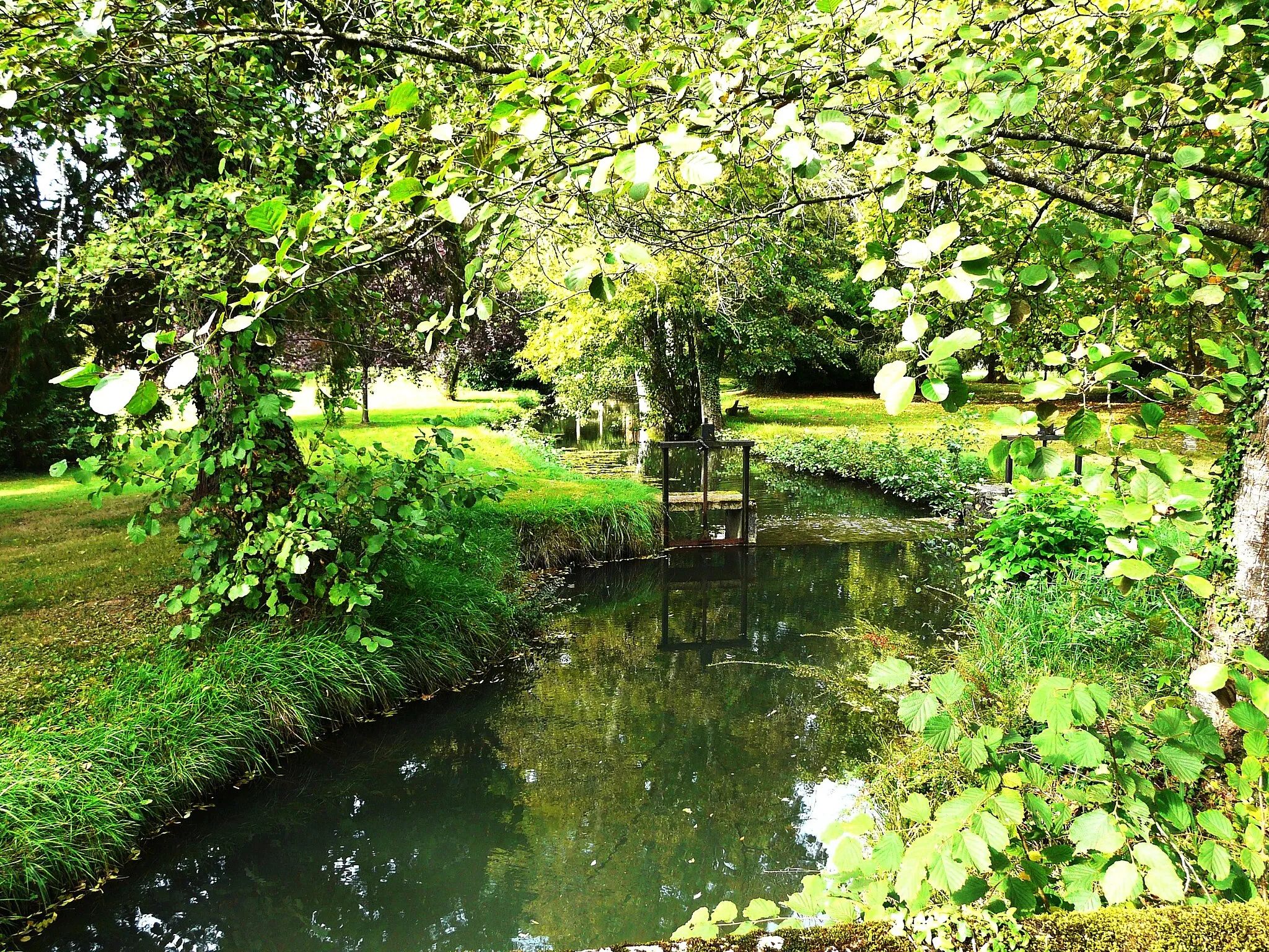 Photo showing: La Beauronne dans le parc du château de Bassy, Saint-Médard-de-Mussidan, Dordogne, France.