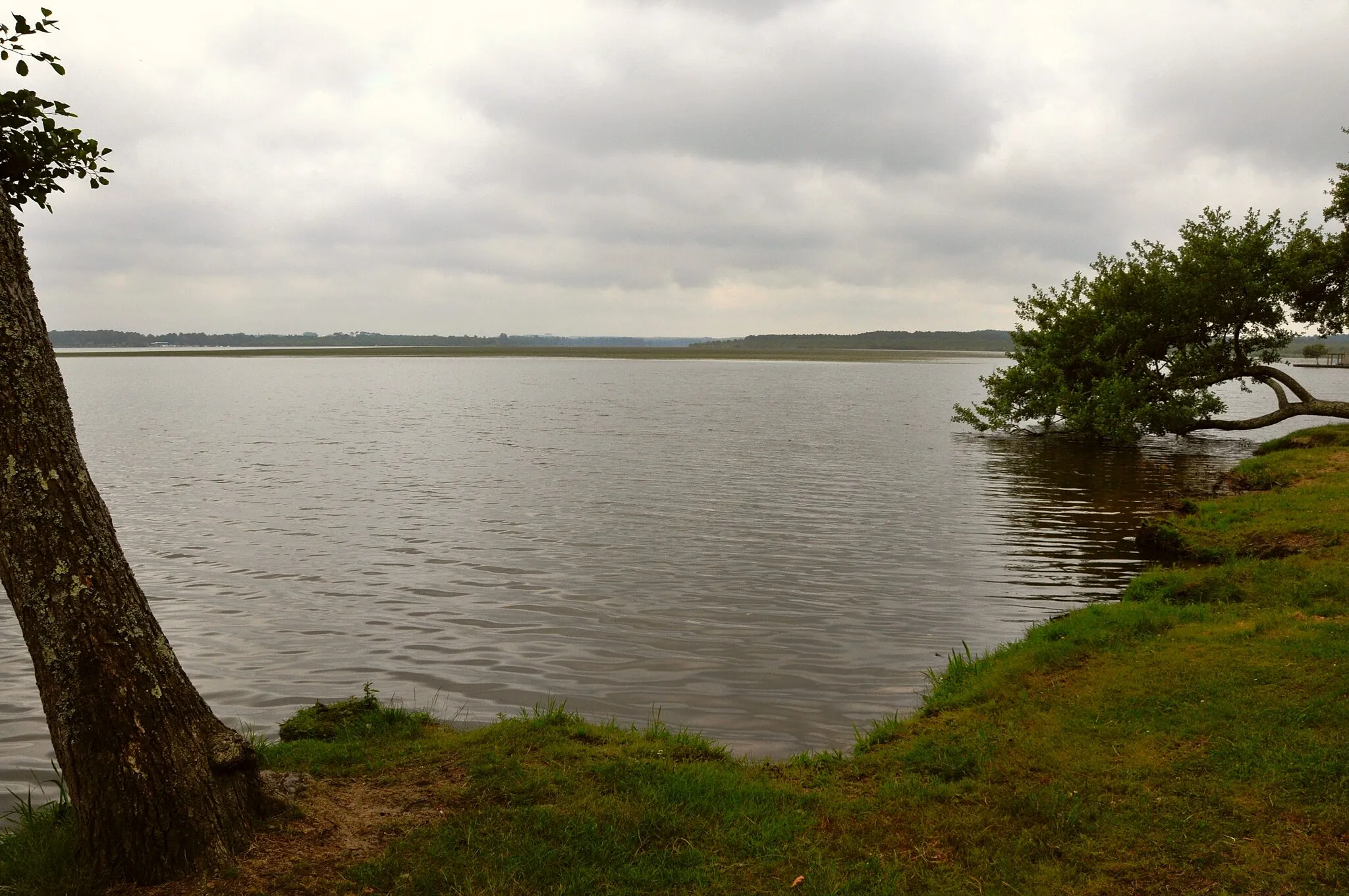 Photo showing: Lac de Soustons