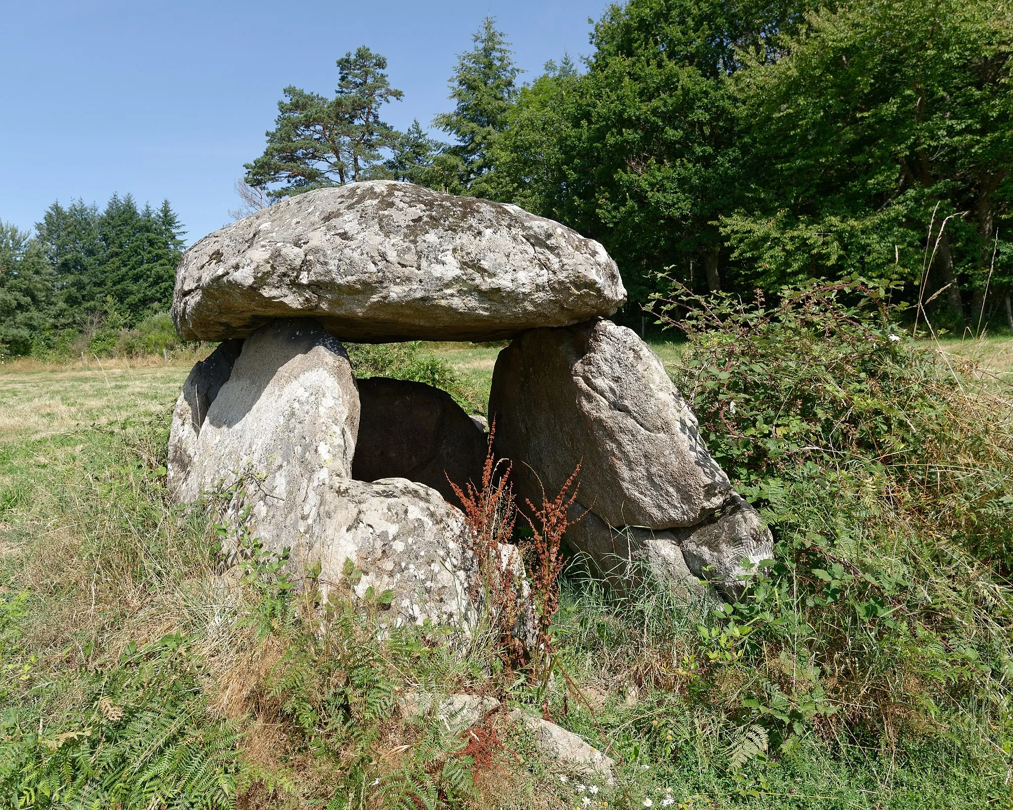 Immagine di Auvergne