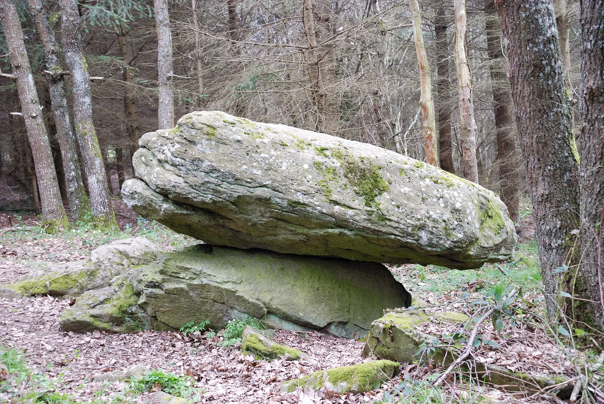 Obrázek Auvergne