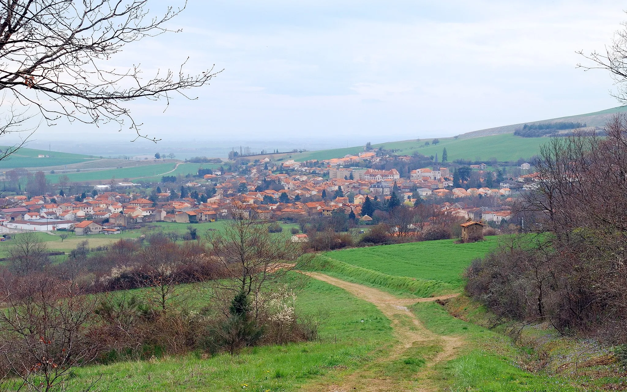 Photo showing: Combronde : General view (Puy-de-Dôme, France).