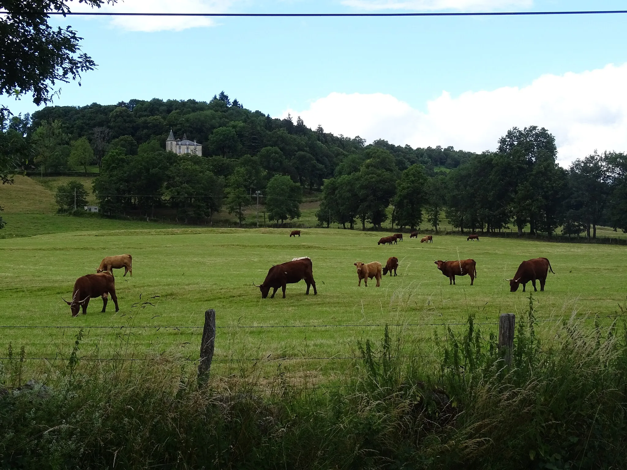 Photo showing: Château de Fontenille, XIXème siècle, Jussac, Cantal.