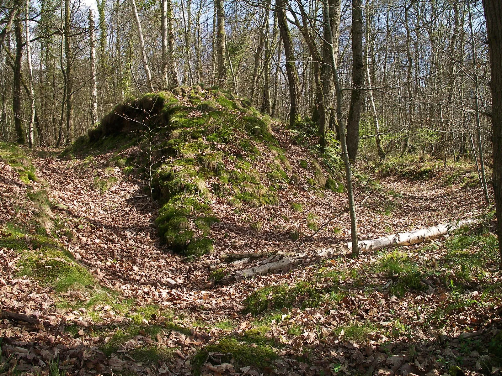 Photo showing: Vestiges d'une enceinte fortifiée (XI ème siècle) dans la forêt de Cinglais à Bretteville-sur-Laize (Calvados)