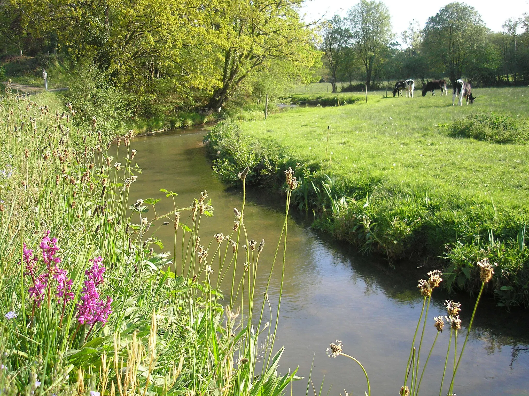 Image de Basse-Normandie