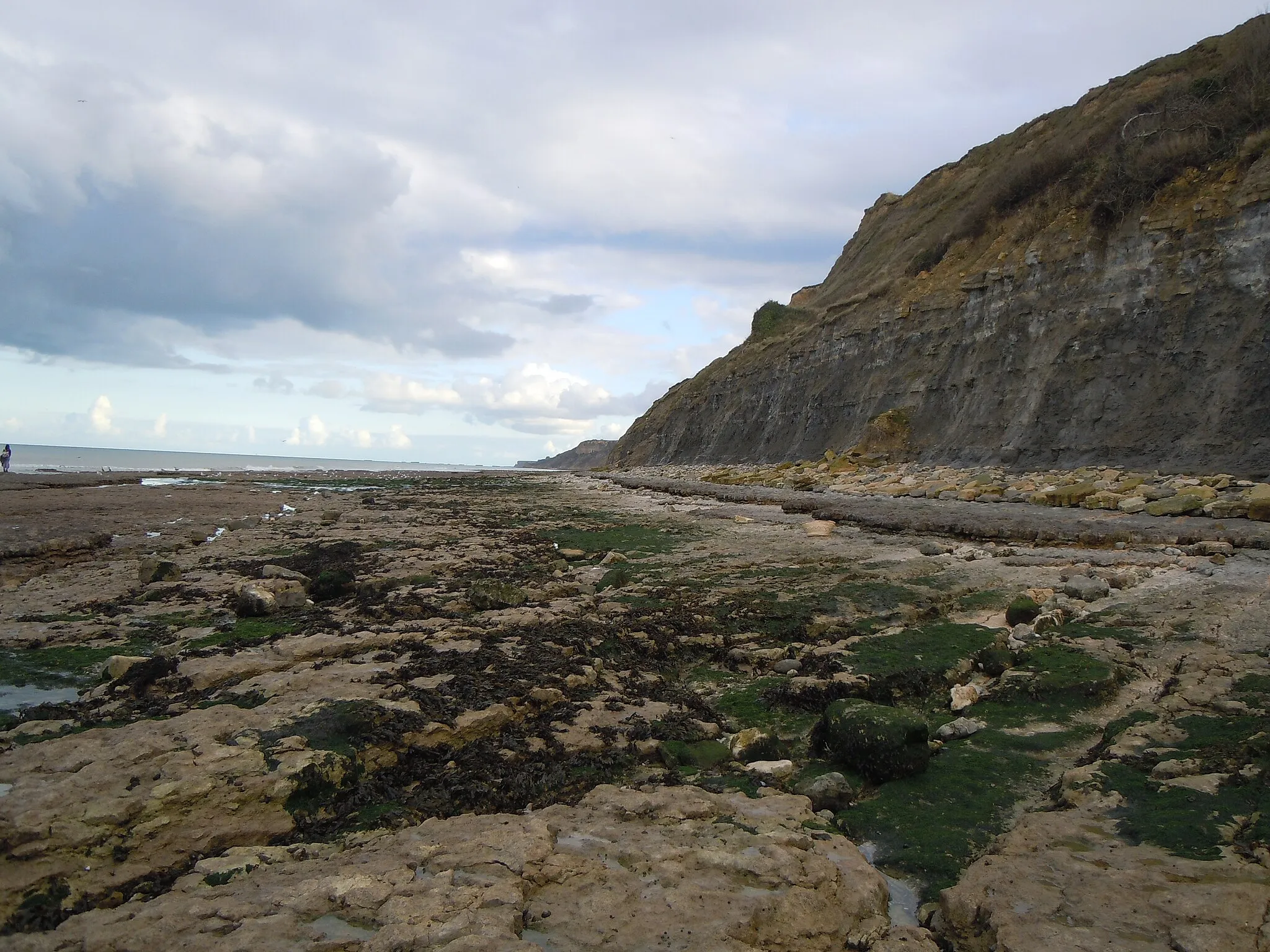 Photo showing: Estran à l'est de Port en Bessin, couche de calcaire à spongiaires du Bajocien au pied de falaises de marne de Port du Bathonien (-167 millions d'années).