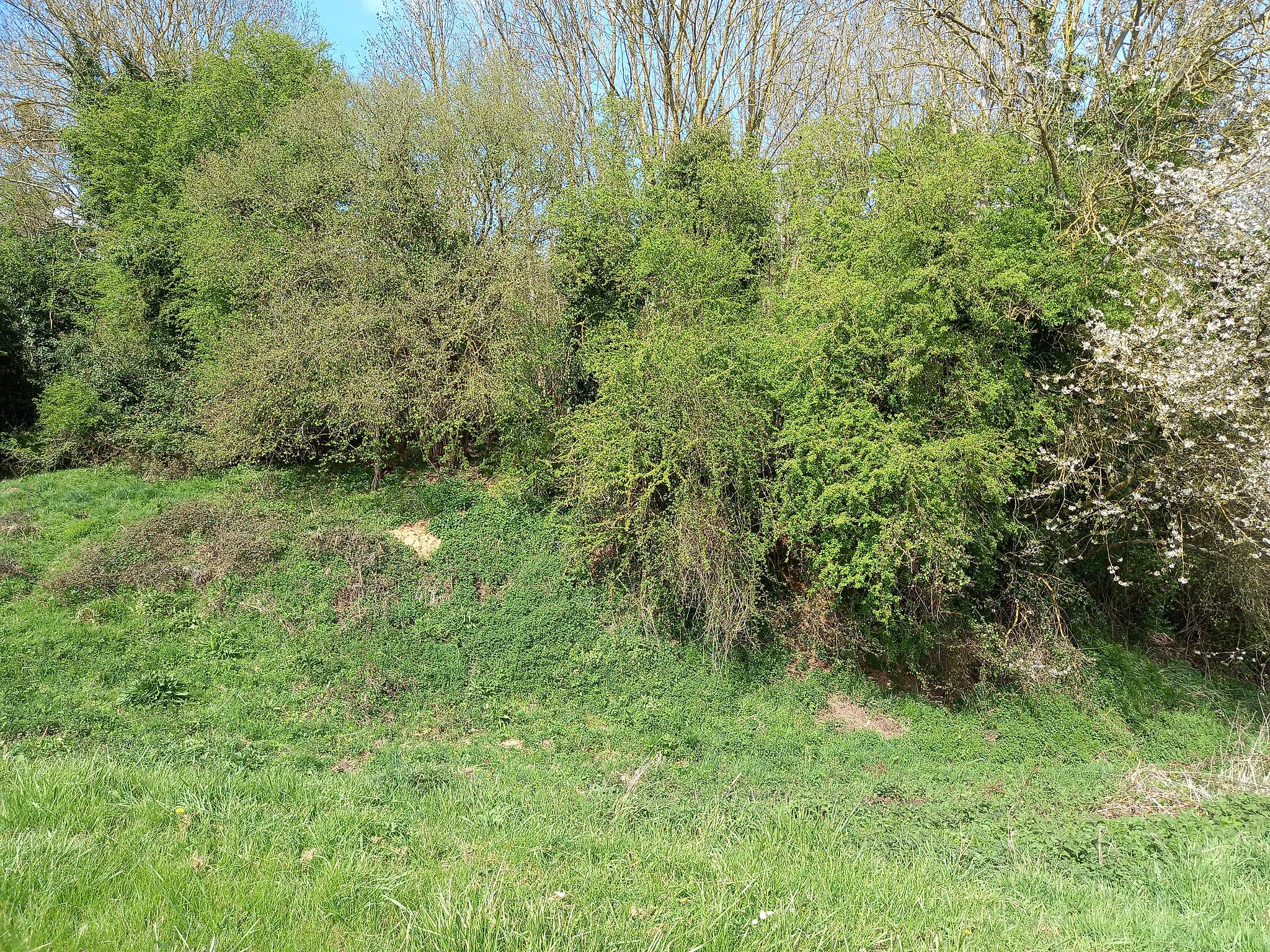 Photo showing: theatre romain de lisieux 4