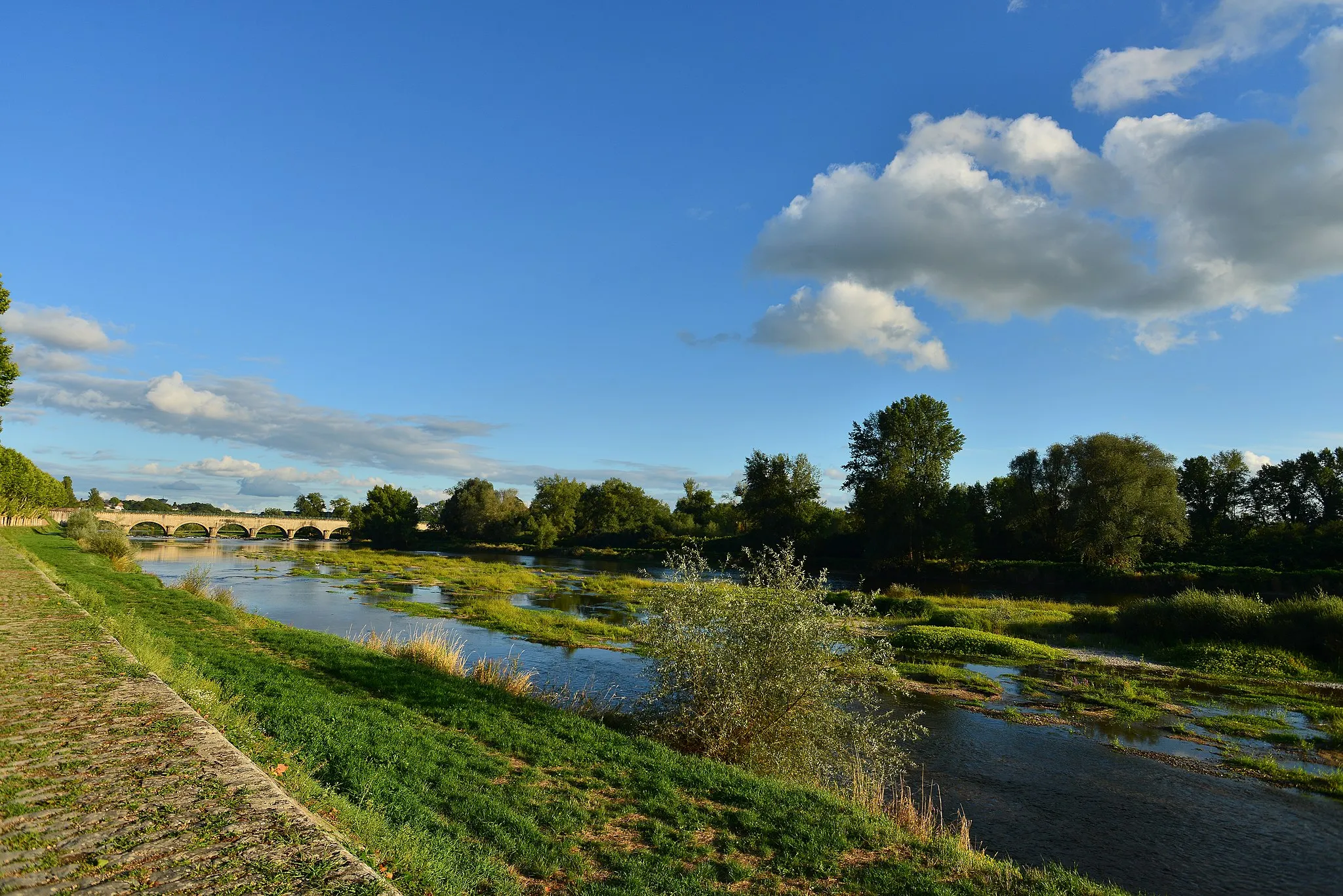 Photo showing: Sur cette photo, suite à un mois de juillet caniculaire, le niveau de la Loire est très bas.