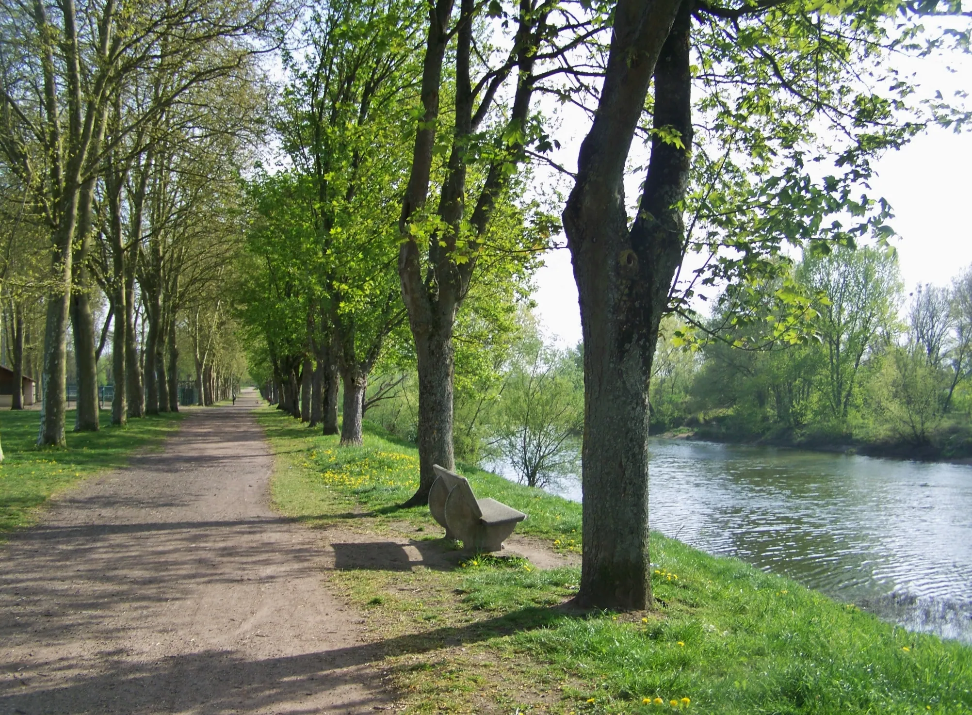 Photo showing: Sight of a footpath along the Loire river, in Fourchambault near Nevers in Nièvre, France.