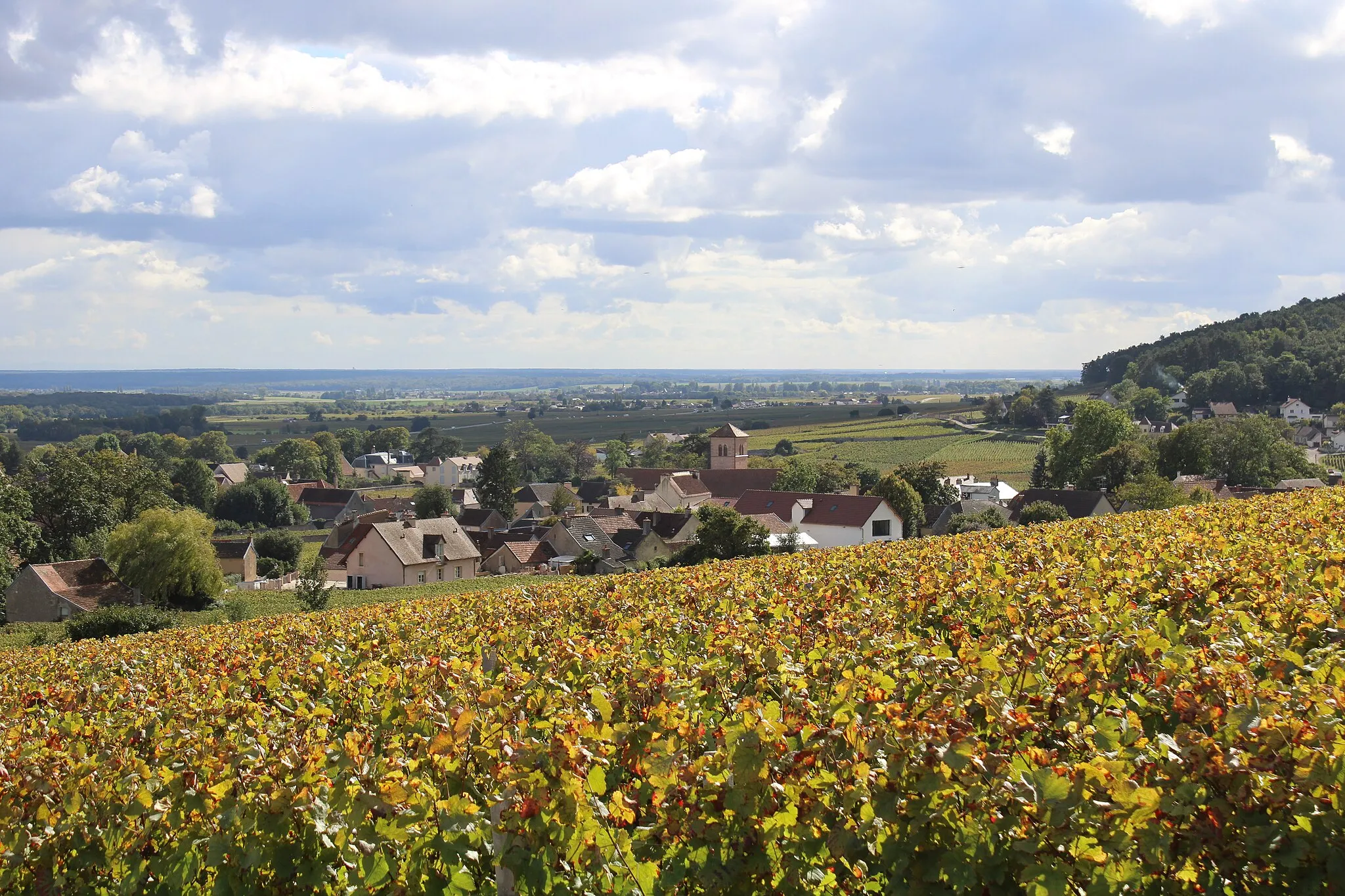 Image of Bourgogne