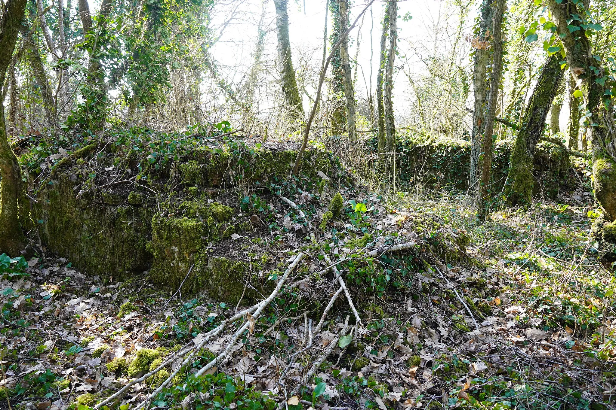 Photo showing: Les ruines du puits Wilson (Houillères de Montchanin).