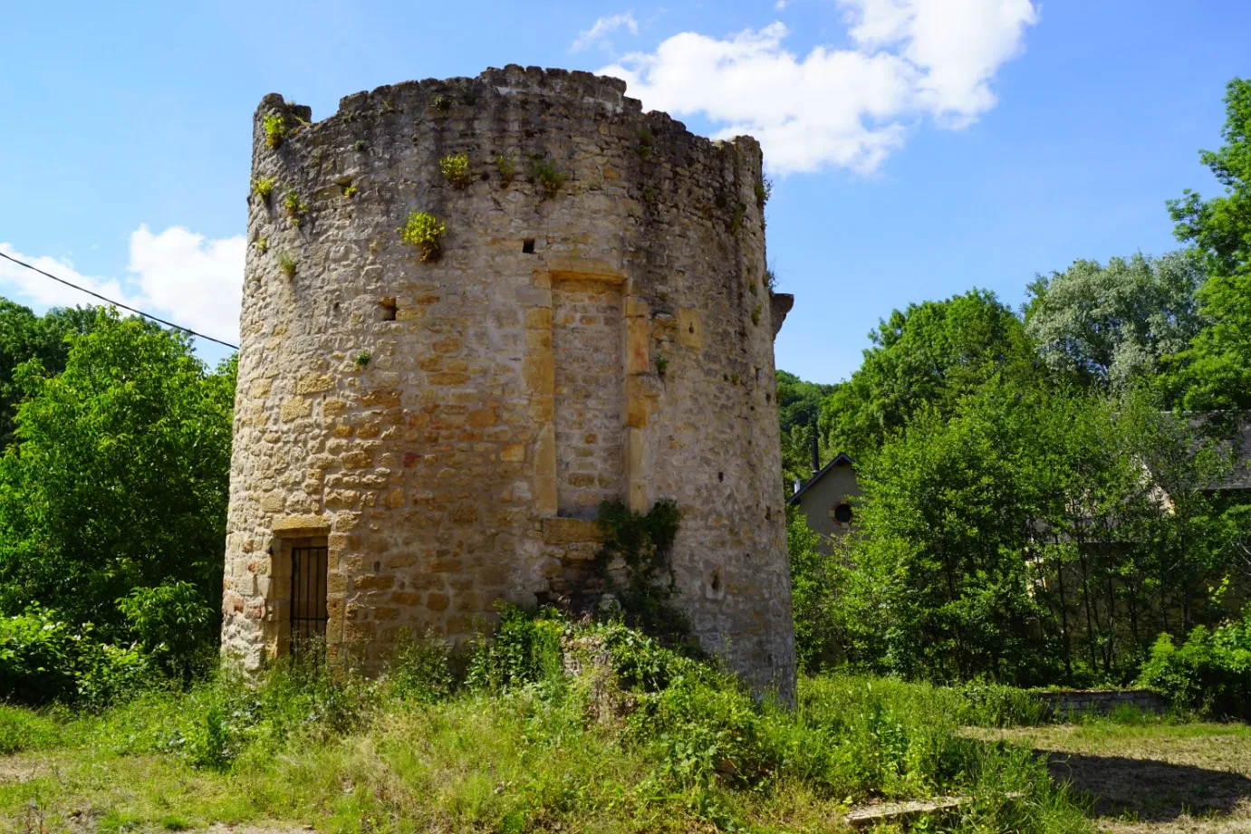 Billede af Bourgogne