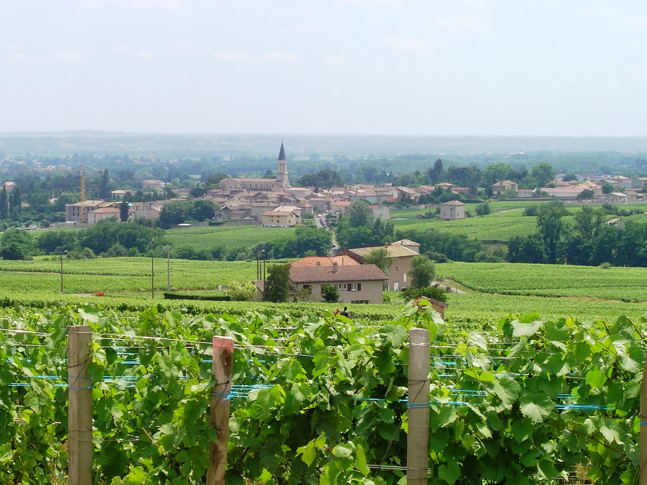 Image of Bourgogne