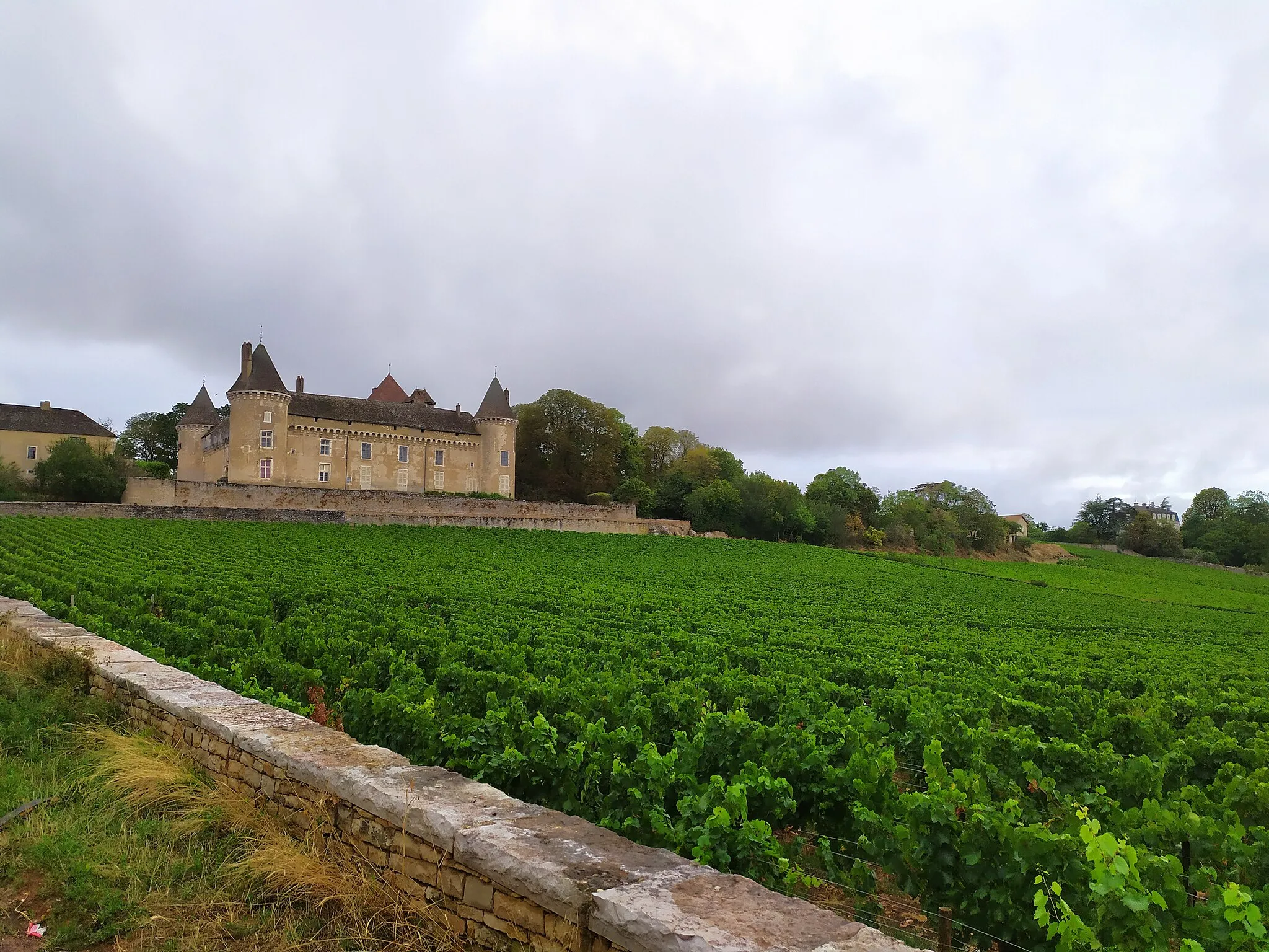 Photo showing: Photographie du Chateau de Rully avec de la vigne en premier plan.