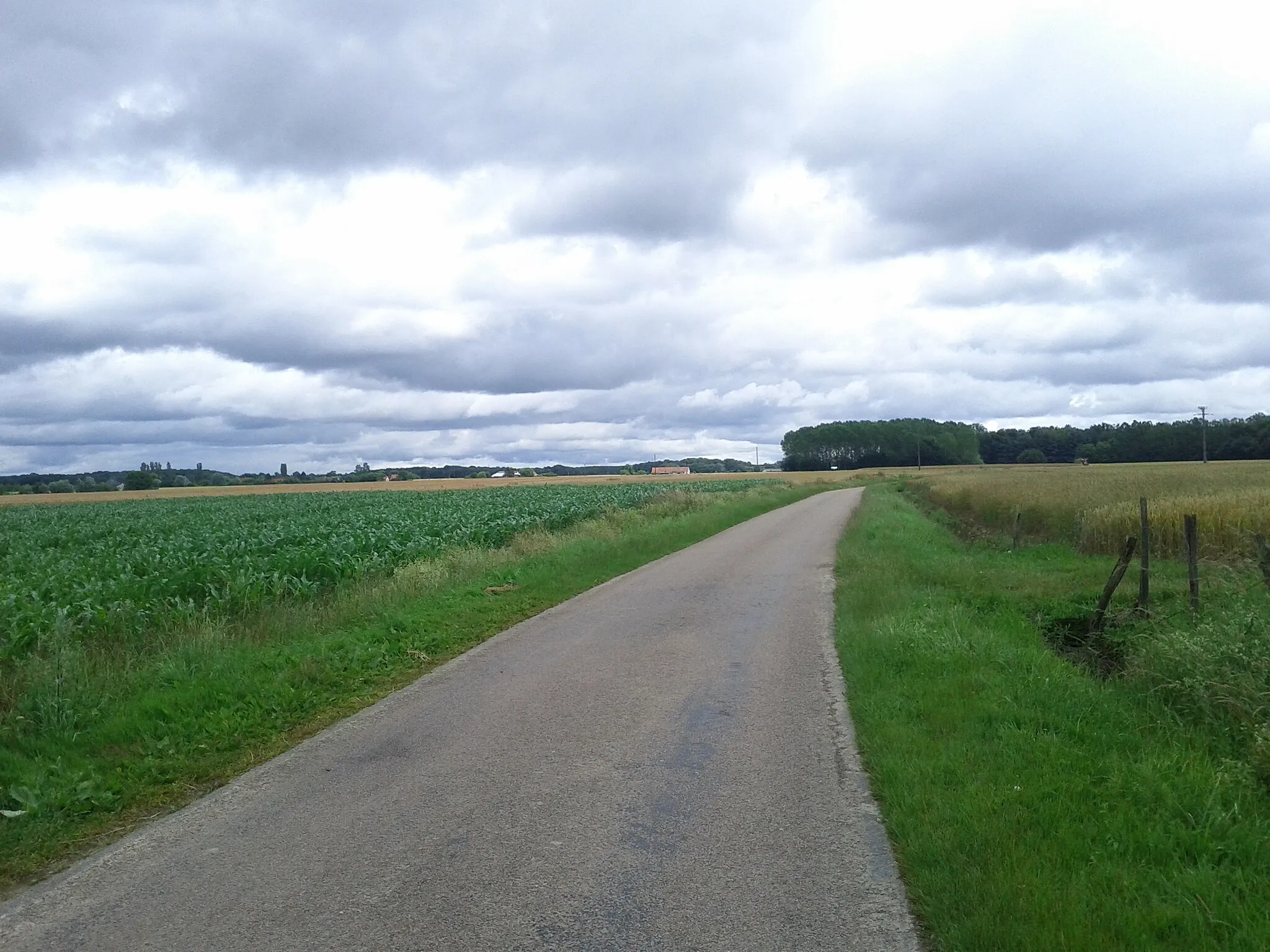 Afbeelding van Bourgogne