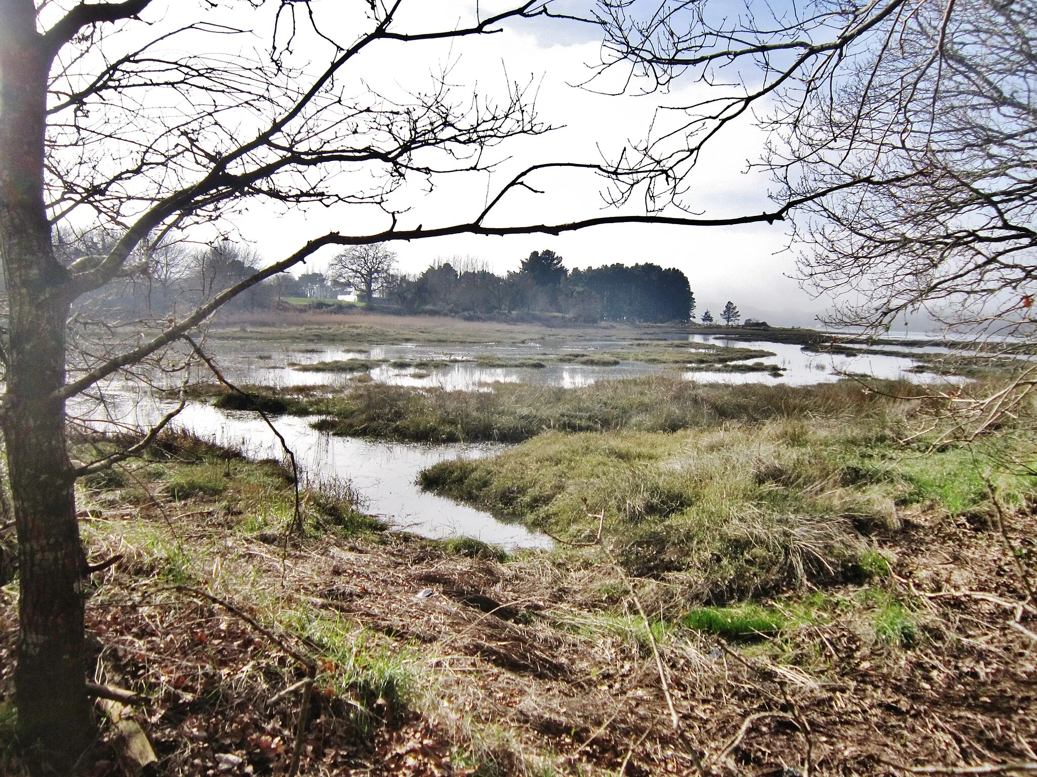 Photo showing: Le marais maritime du fond de la Baie de Kerdréan (limite entre Le Bono et Baden).