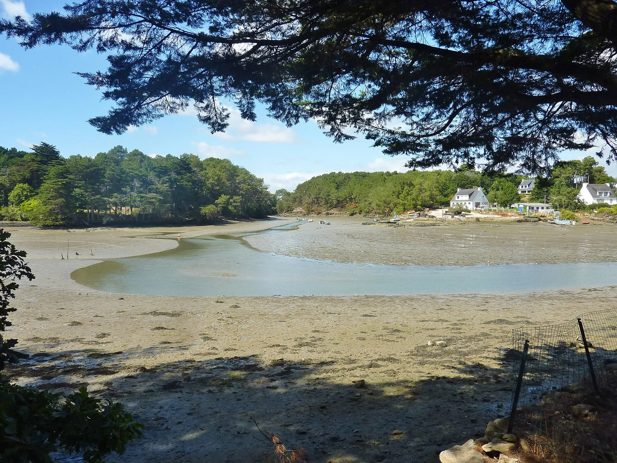 Photo showing: Baden (Morbihan) : la confluence entre les rias du Moulin du Pont (à gauche) et du Ruisseau du Pont de Lohac (à droite).