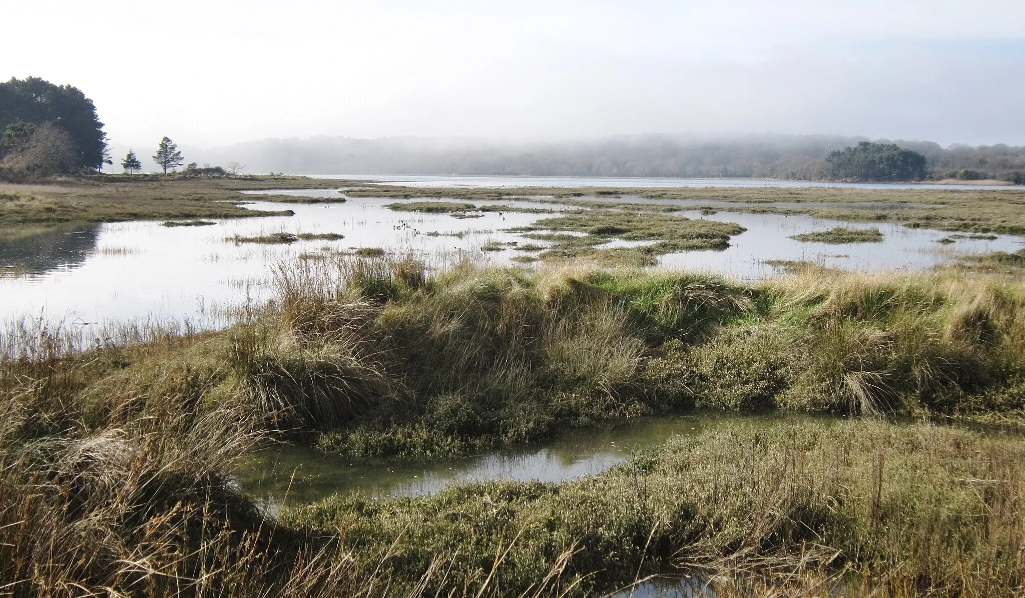 Image of Bretagne