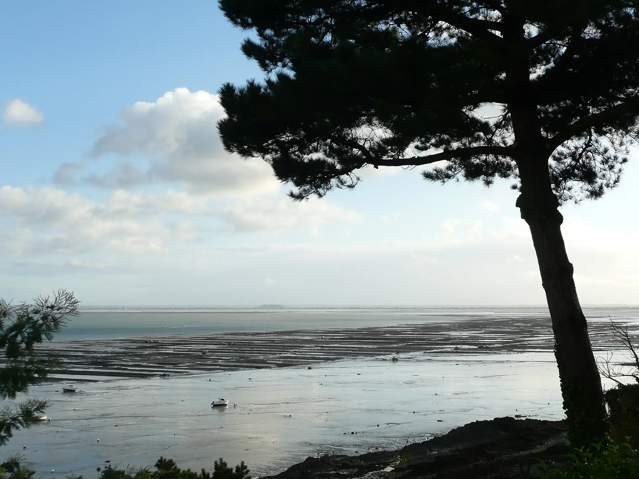 Photo showing: Vue des parcs à Huîtres de Cancale depuis les hauteurs.