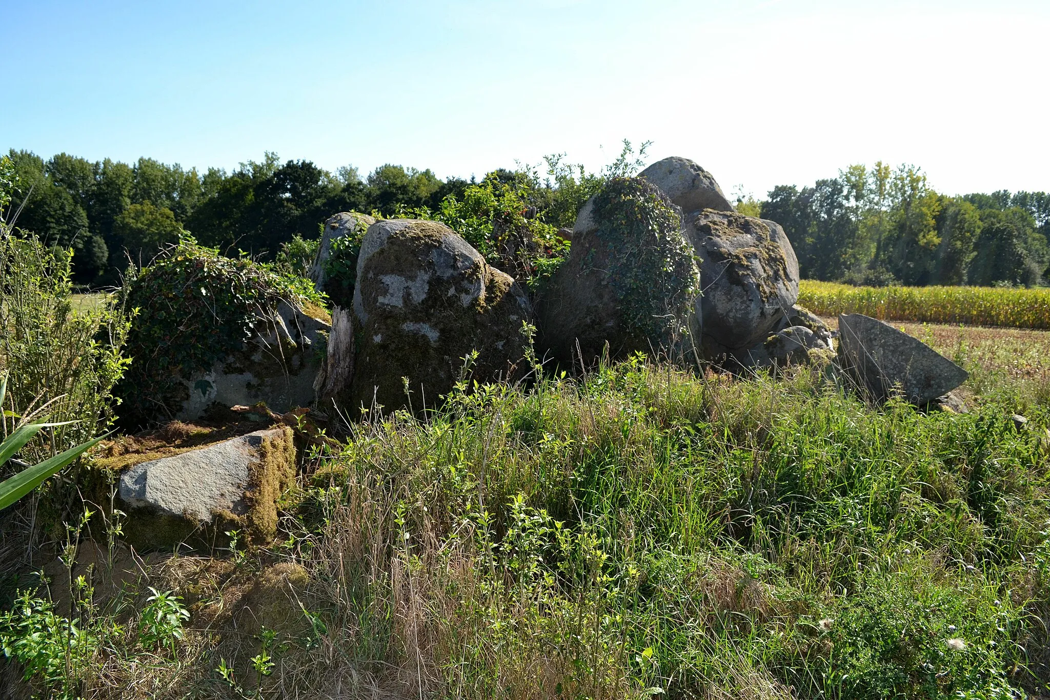 Photo showing: Allée couverte de Chevrot à Combourg (35).