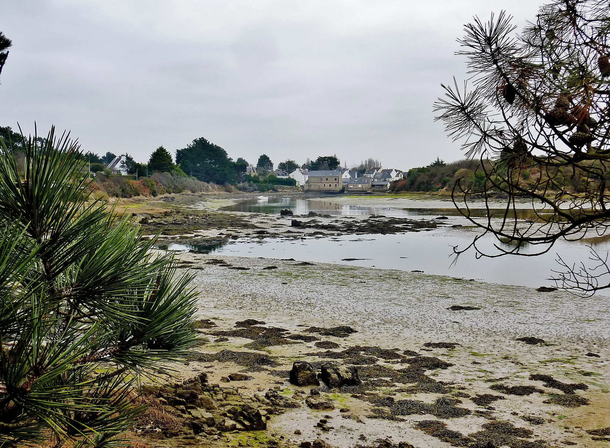 Photo showing: Le fond de l'Anse du Sac'h à marée basse ; à l'arrière-plan le moulin du Sac'h.